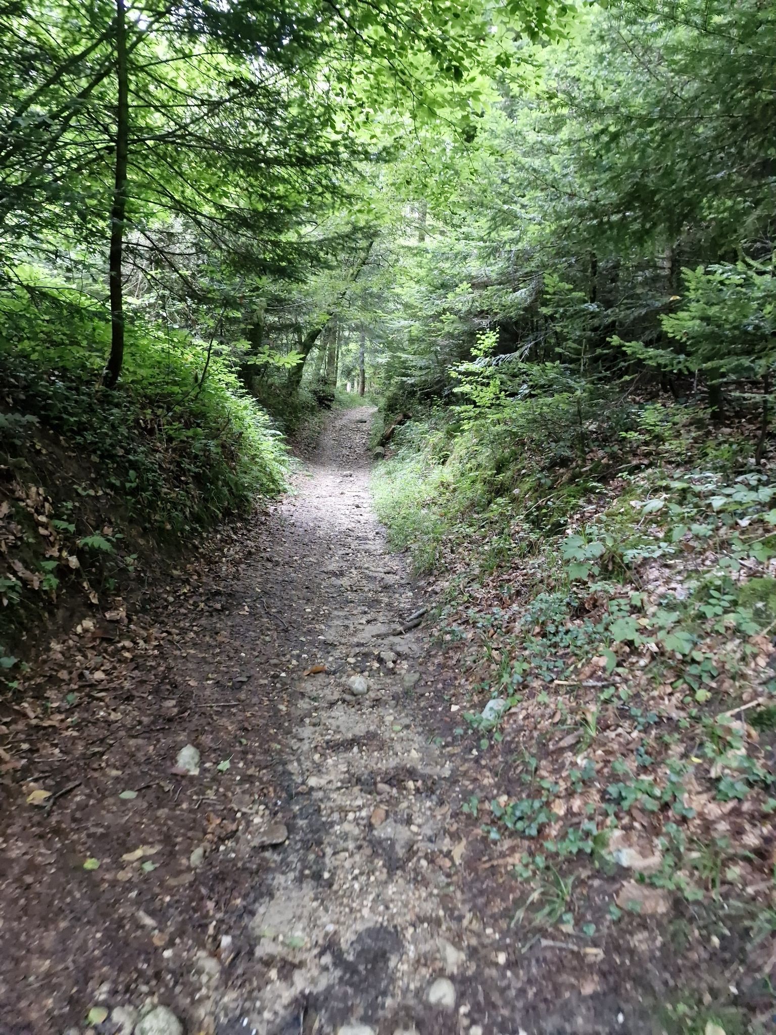 De beaux passage dans les bois bien techniques !