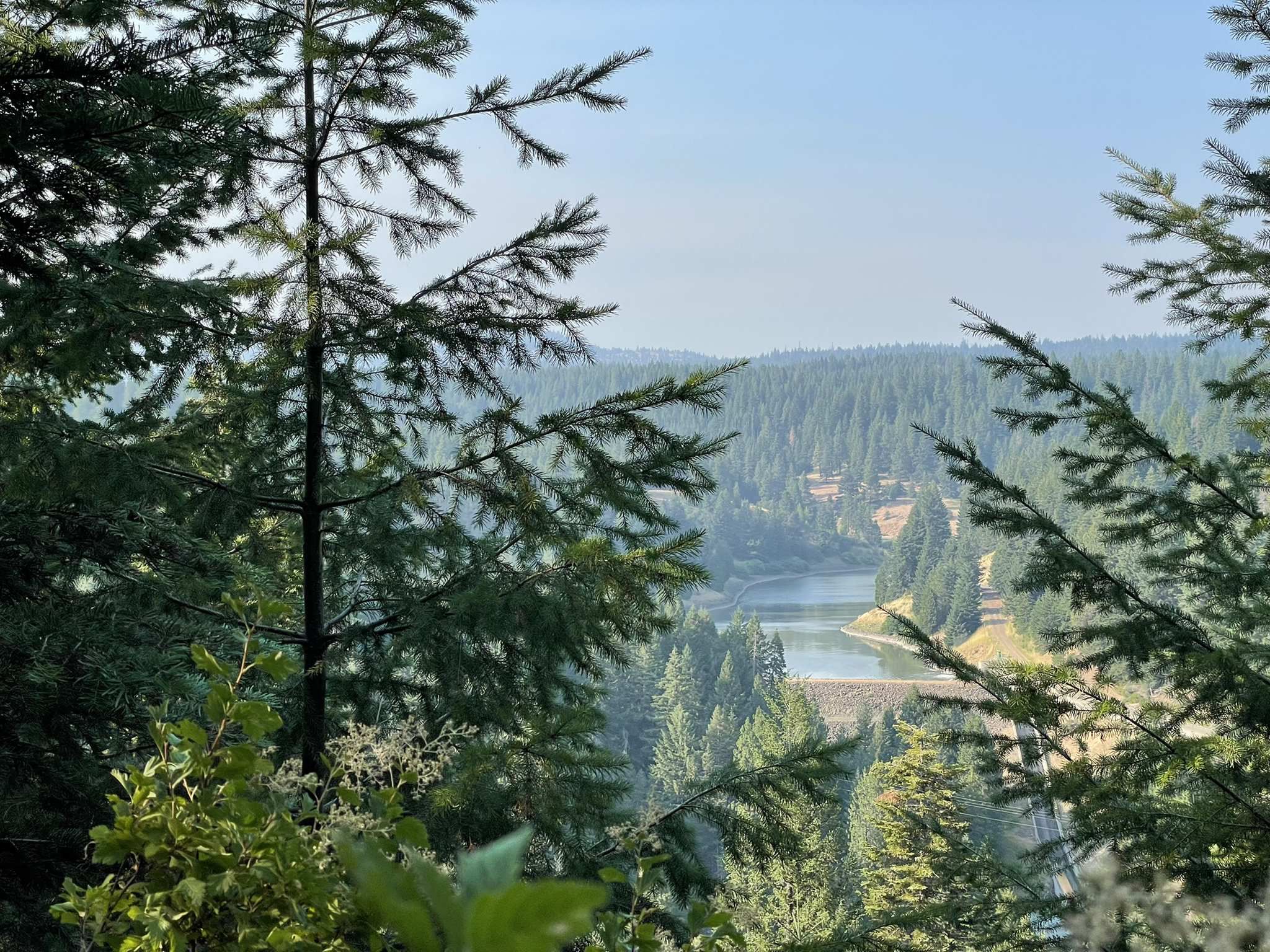 A hazy view of a lake and dam through evergreen trees. - Pacific Crest Trail to Hobart Bluff