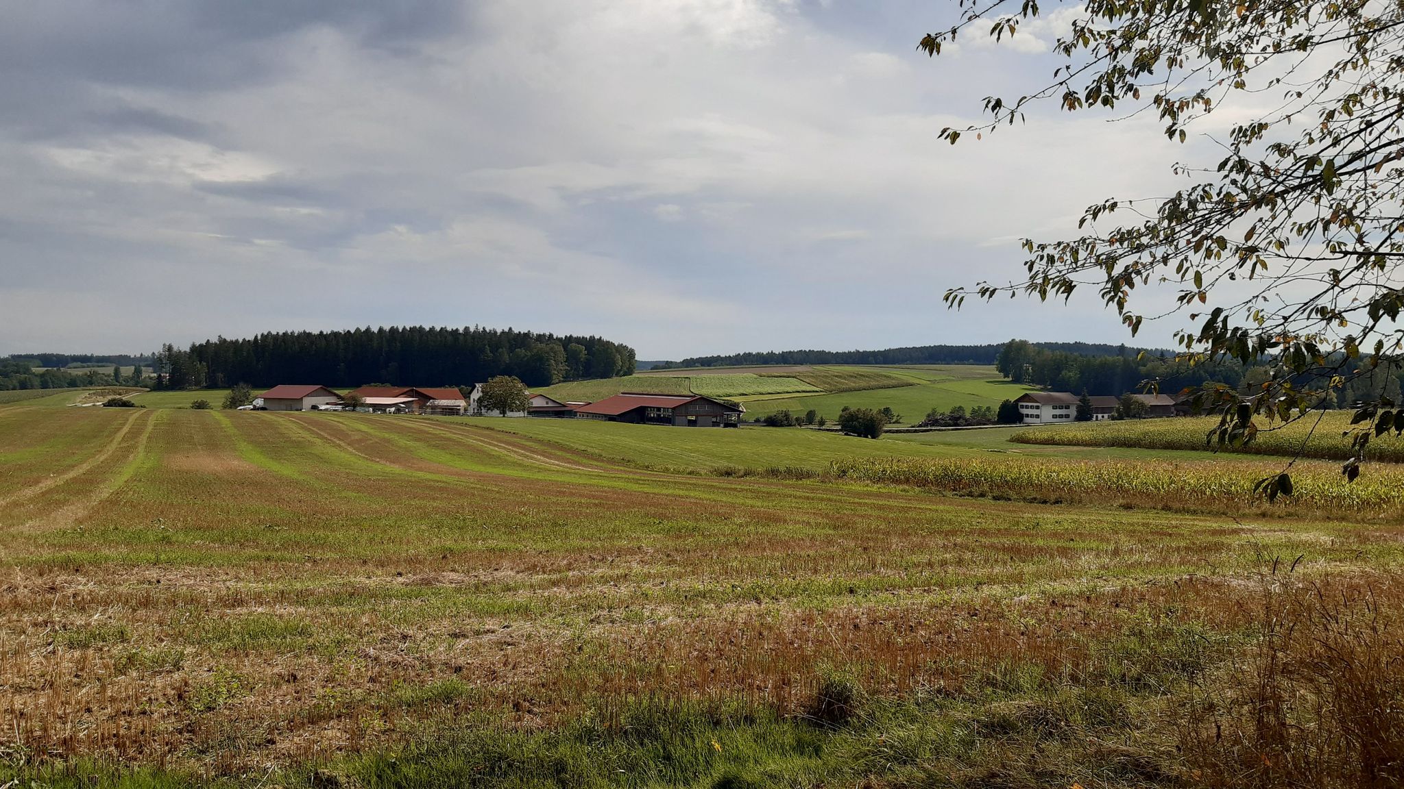 Blick nach Aiching und Ziegelaign