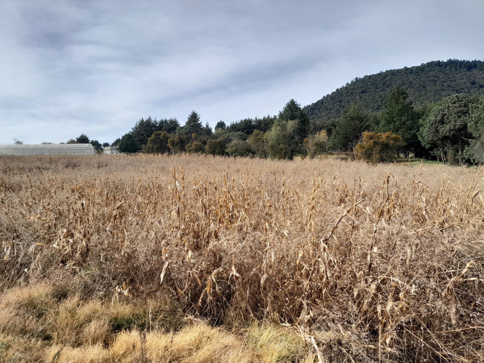 ciclopista