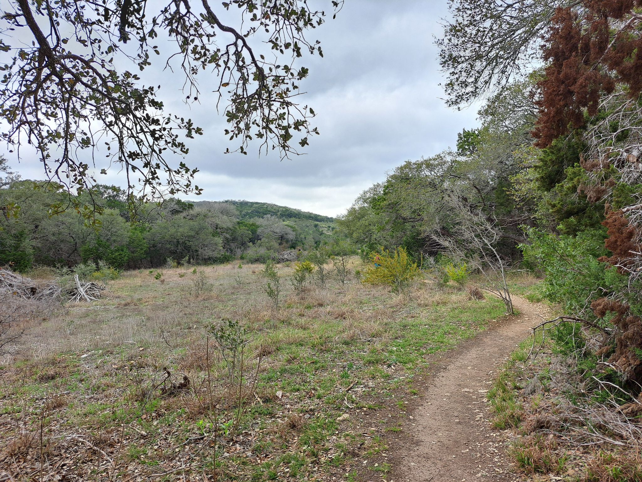 Dirt path winding through a grassy field with trees under a cloudy sky. - Restoration Way Trail