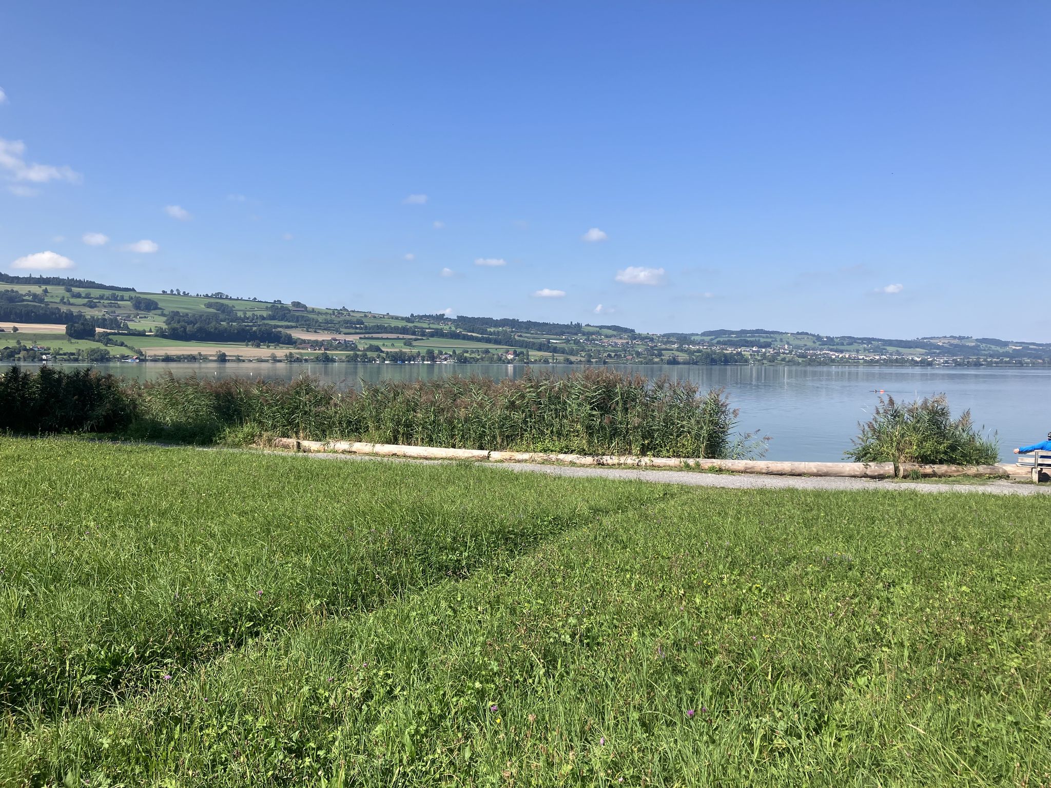 Blick auf den Sempachersee.