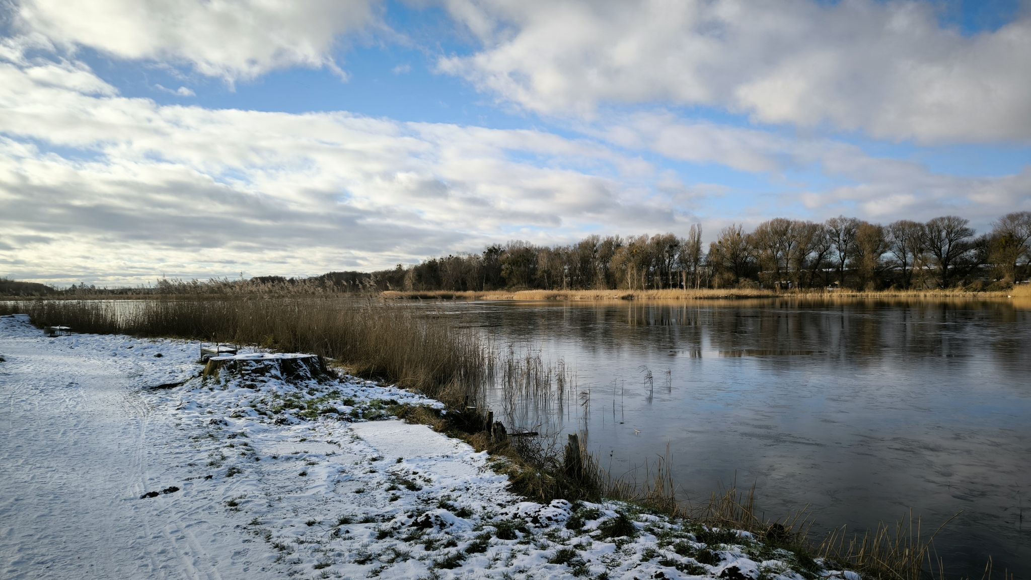Mühlenteich Friedland