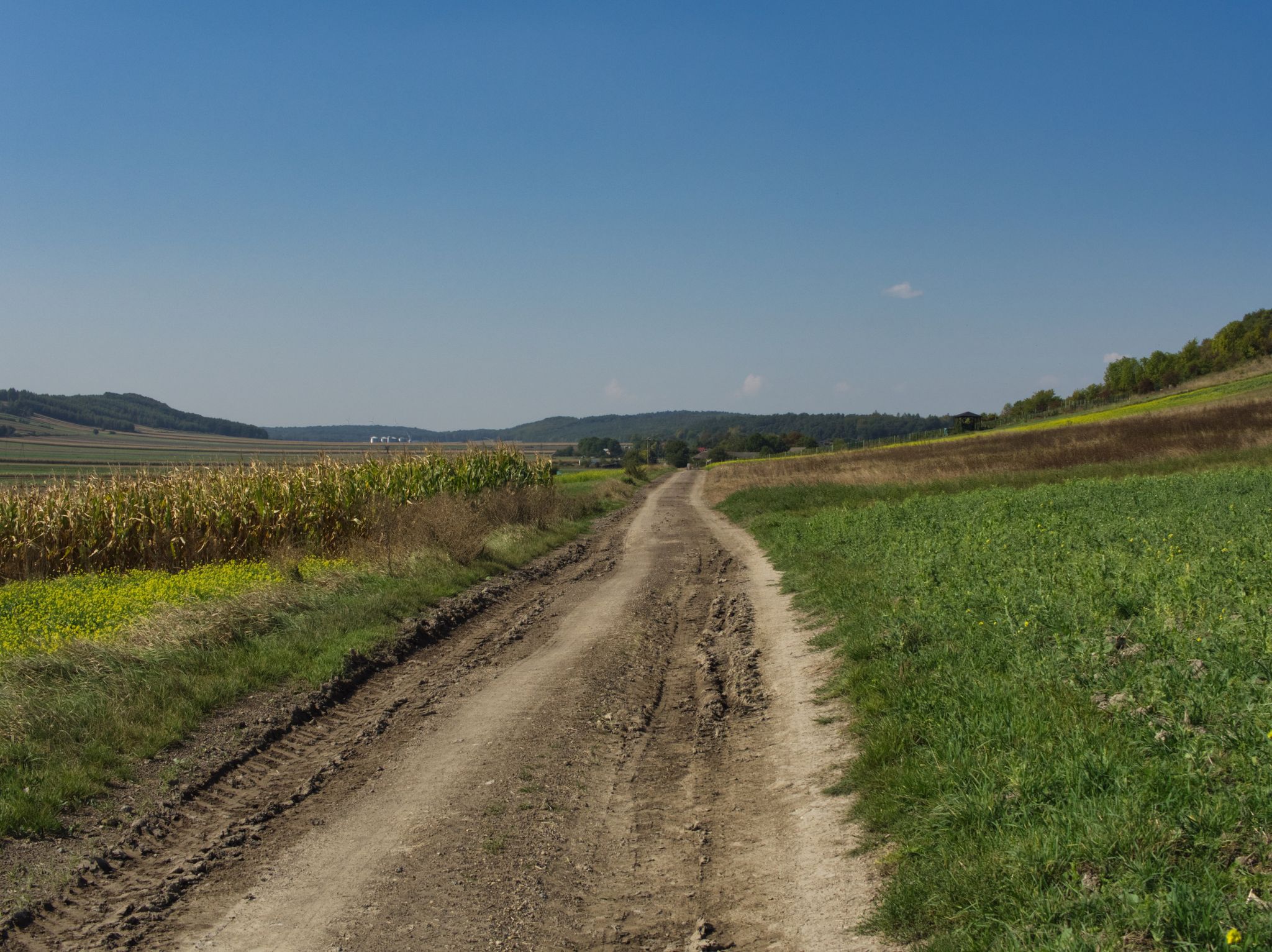 Trail view.