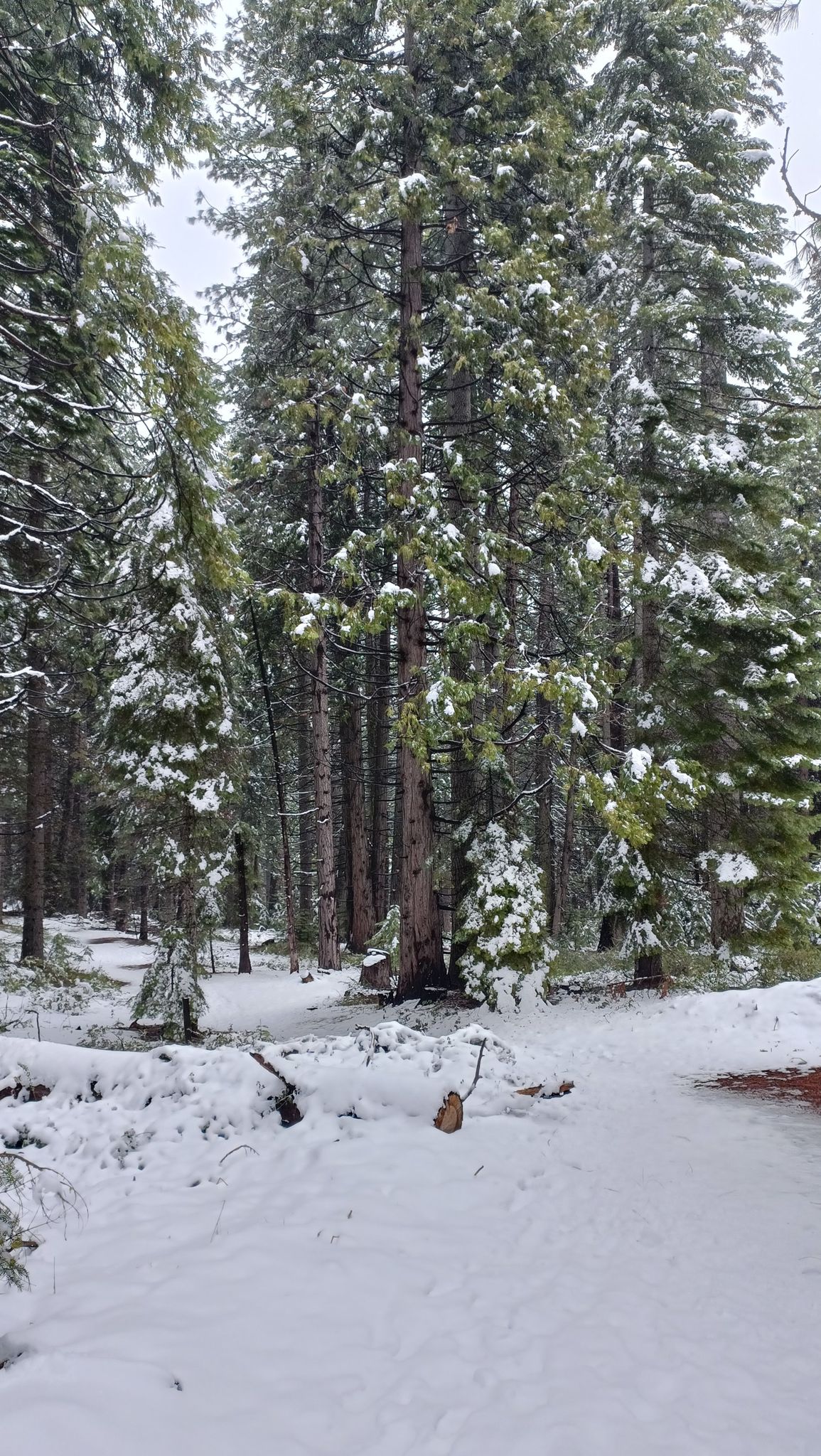 Right Meadow Trail