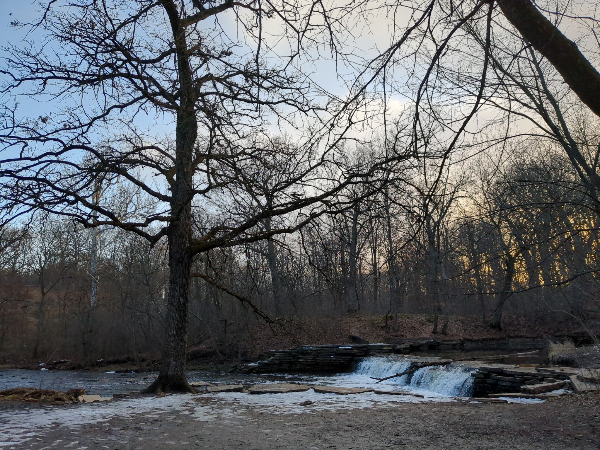 A bare tree stands by a small waterfall in a winter forest at dusk. - Rocky Glen Trail