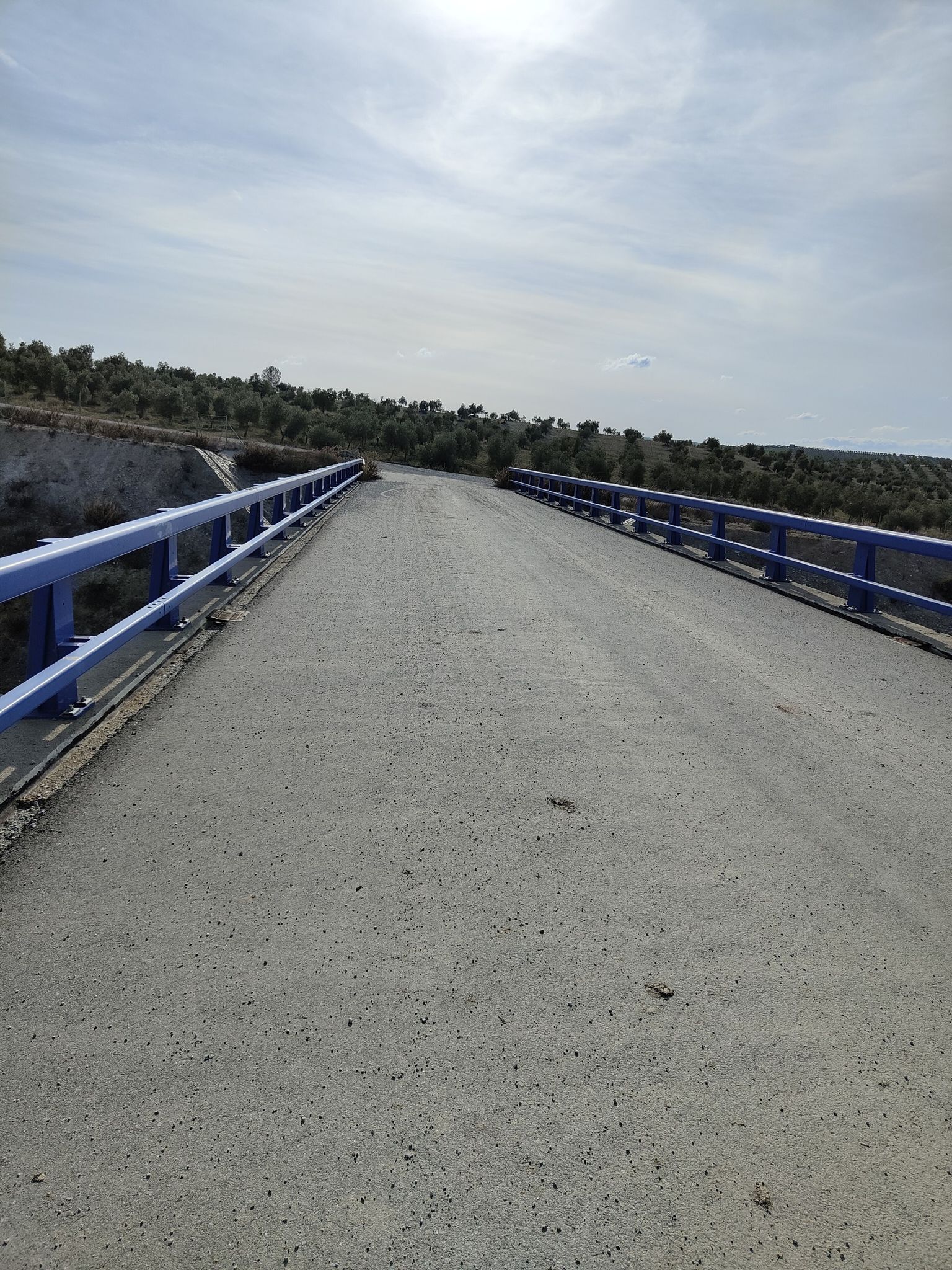 Puente Autovía