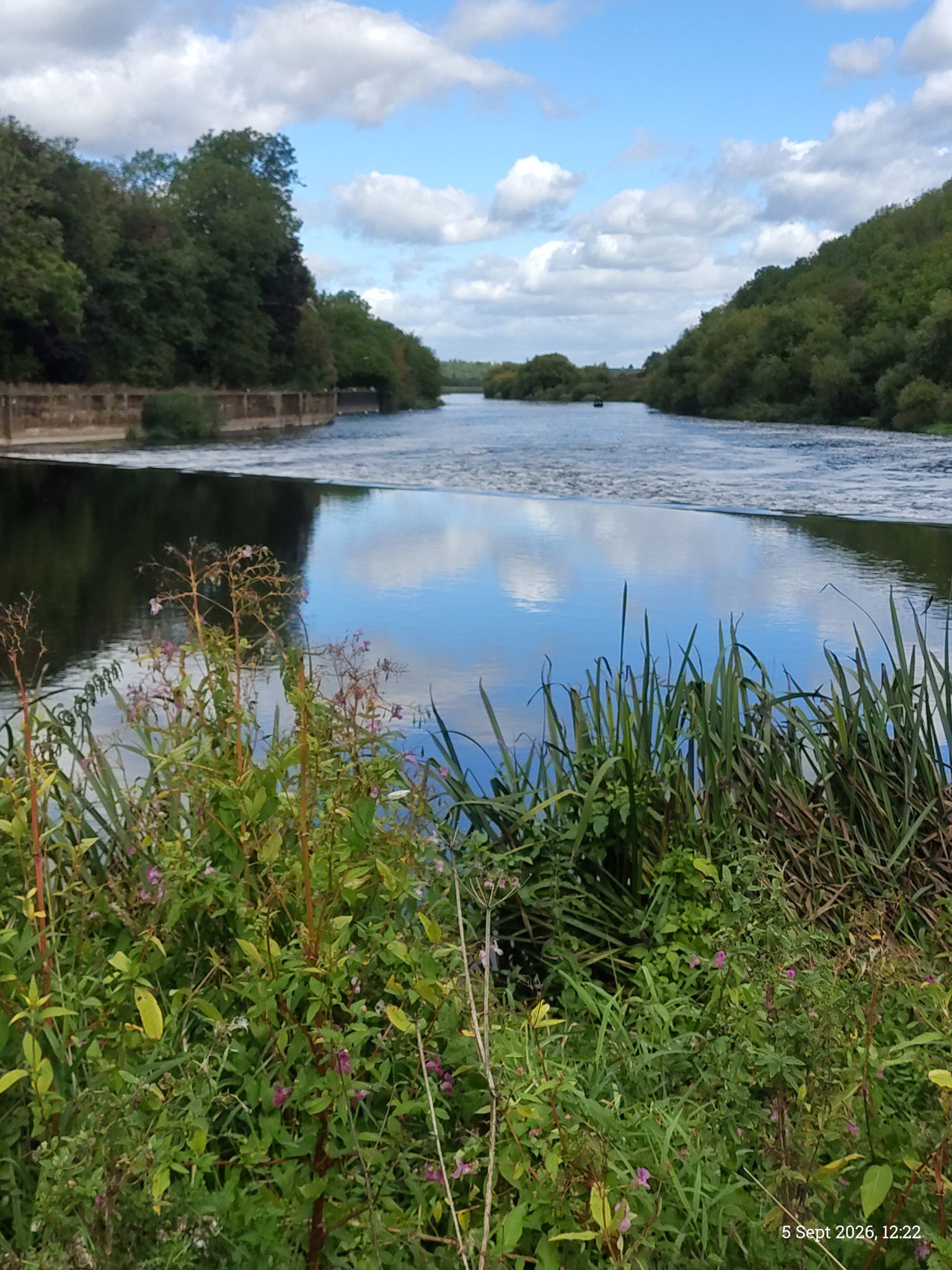 weir