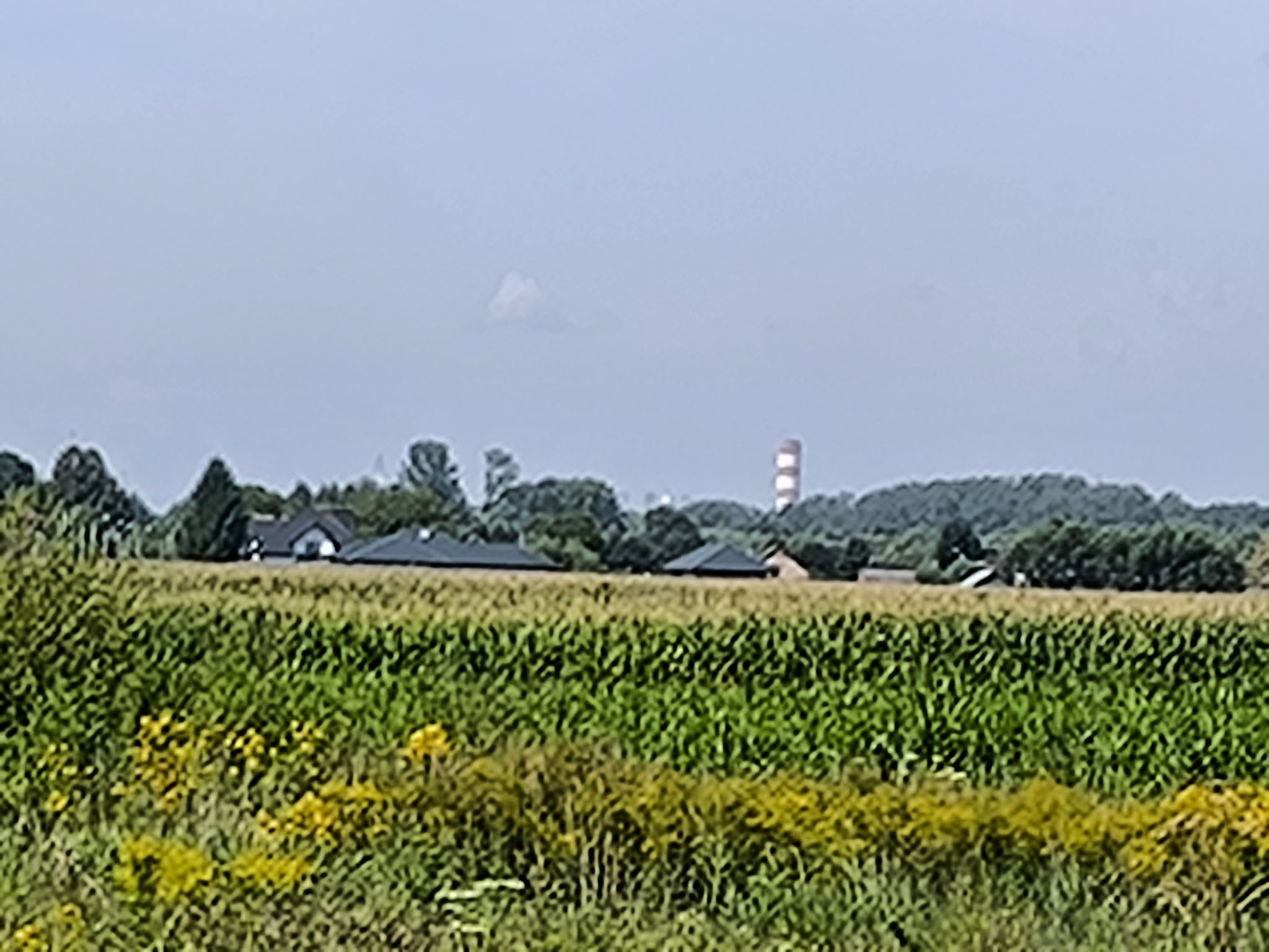 Elektrownia Połaniec