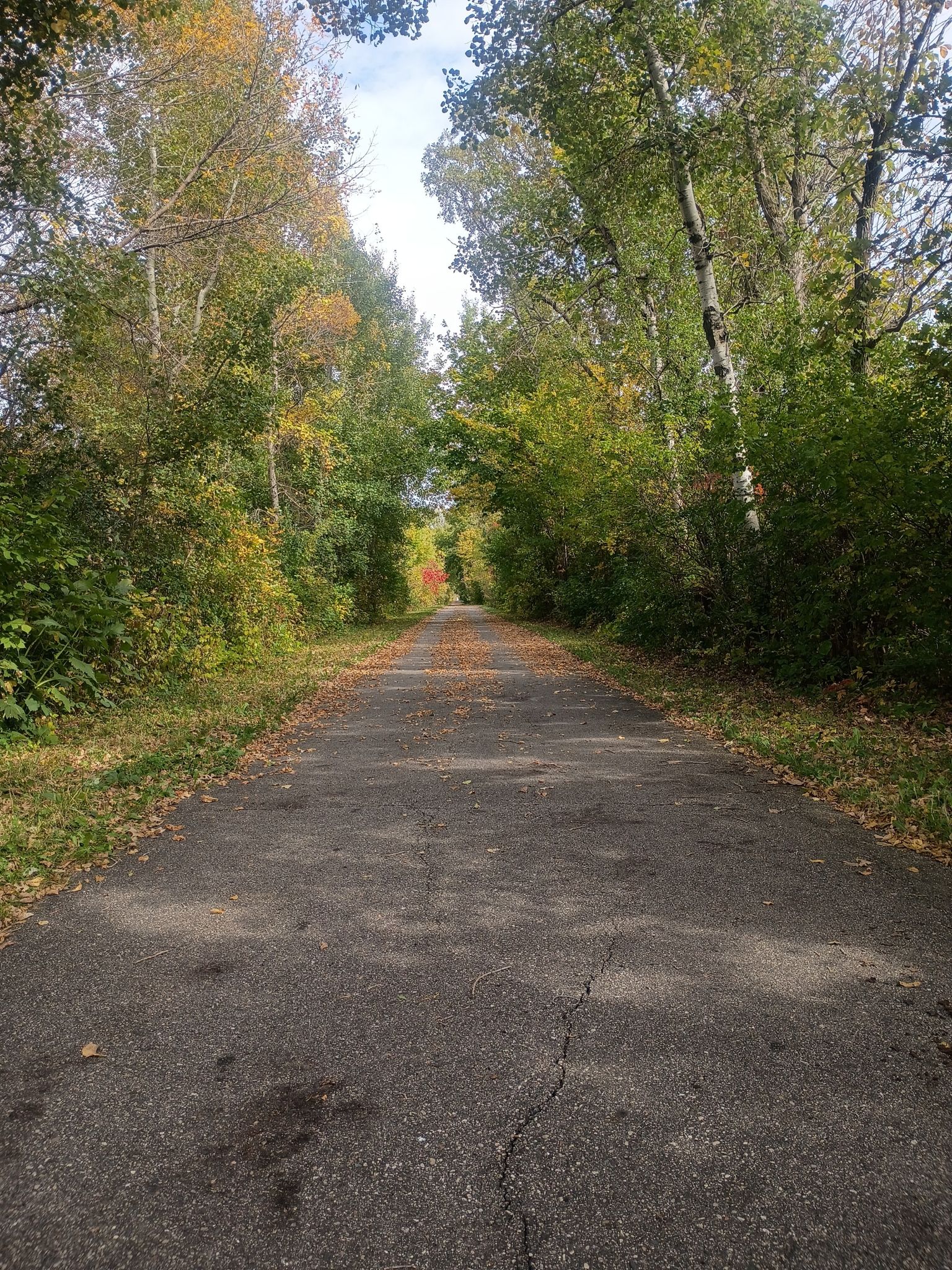 Turning Colors 