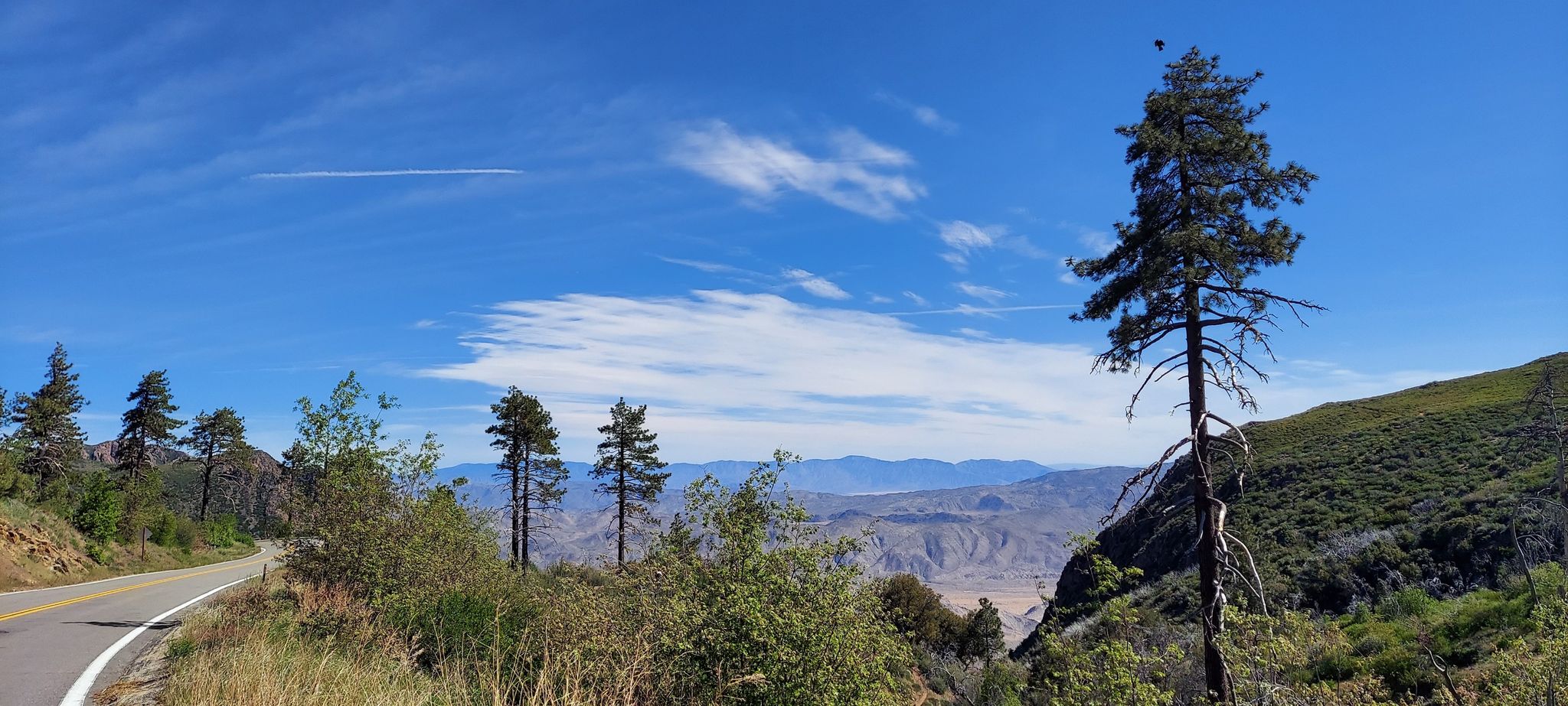 Winding road on a mountain slope with pine trees overlooking a vast valley. - Pine Valley Park – Storm Canyon Overlook loop from Japatul Valley Road Park And Ride
