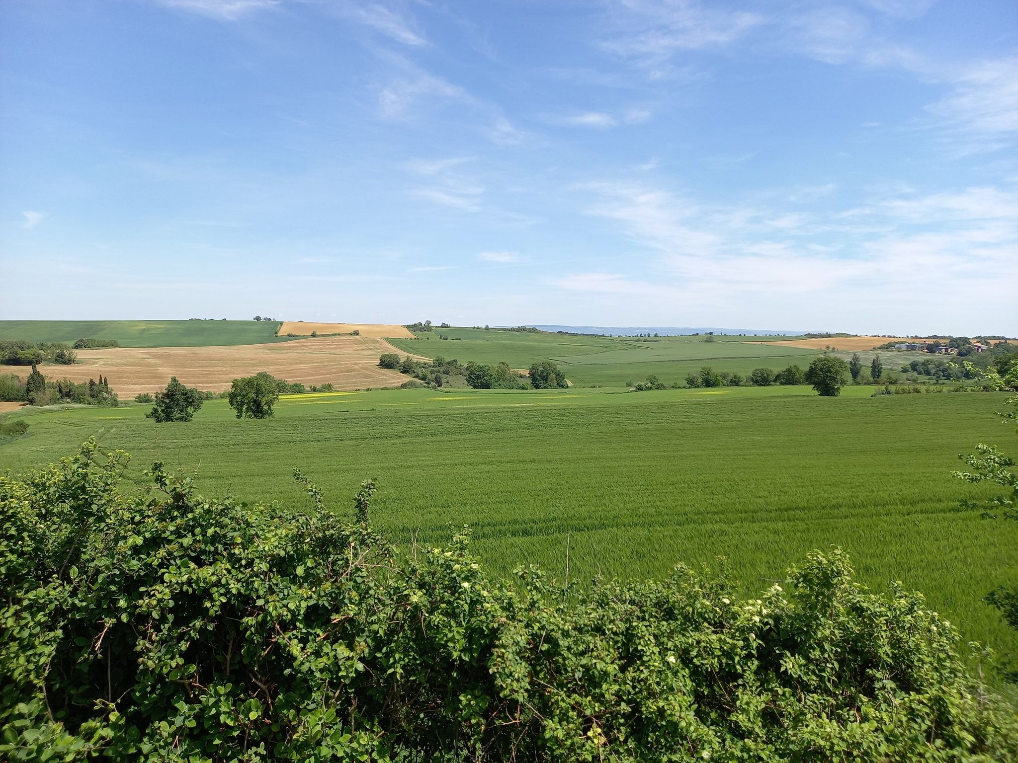 molleville