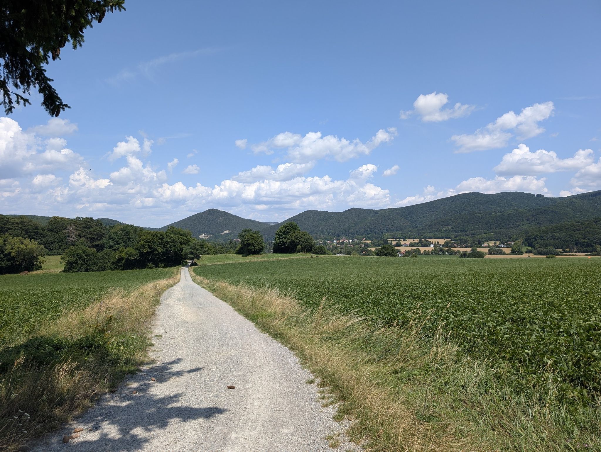 Blick nach Gaaden