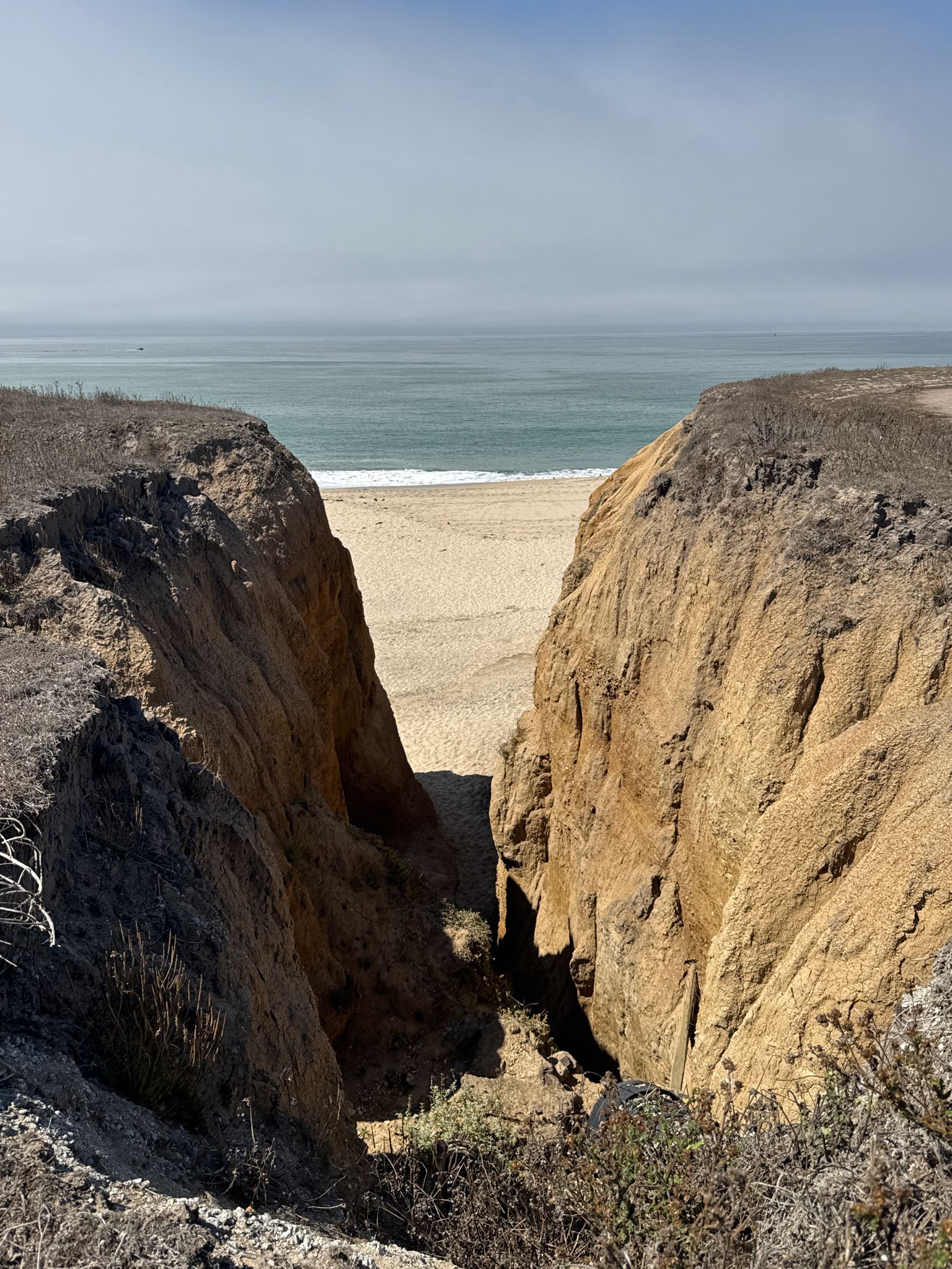 Steep sandy cliffs frame a sunny beach and calm ocean under a bright sky. - Half Moon Bay Coastal Trail