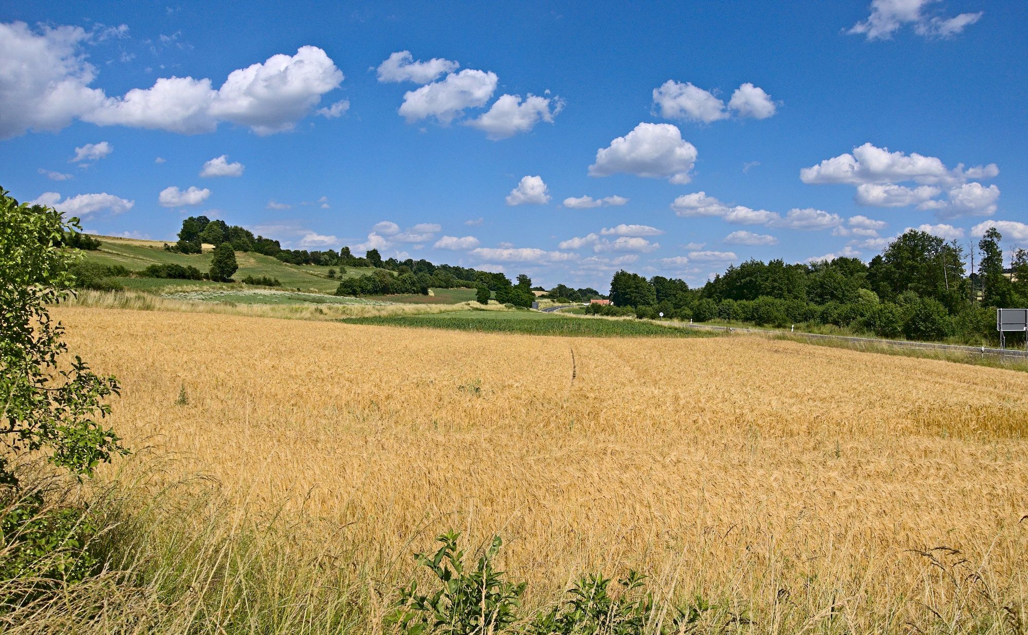 Ausblick bei Burgwindheim