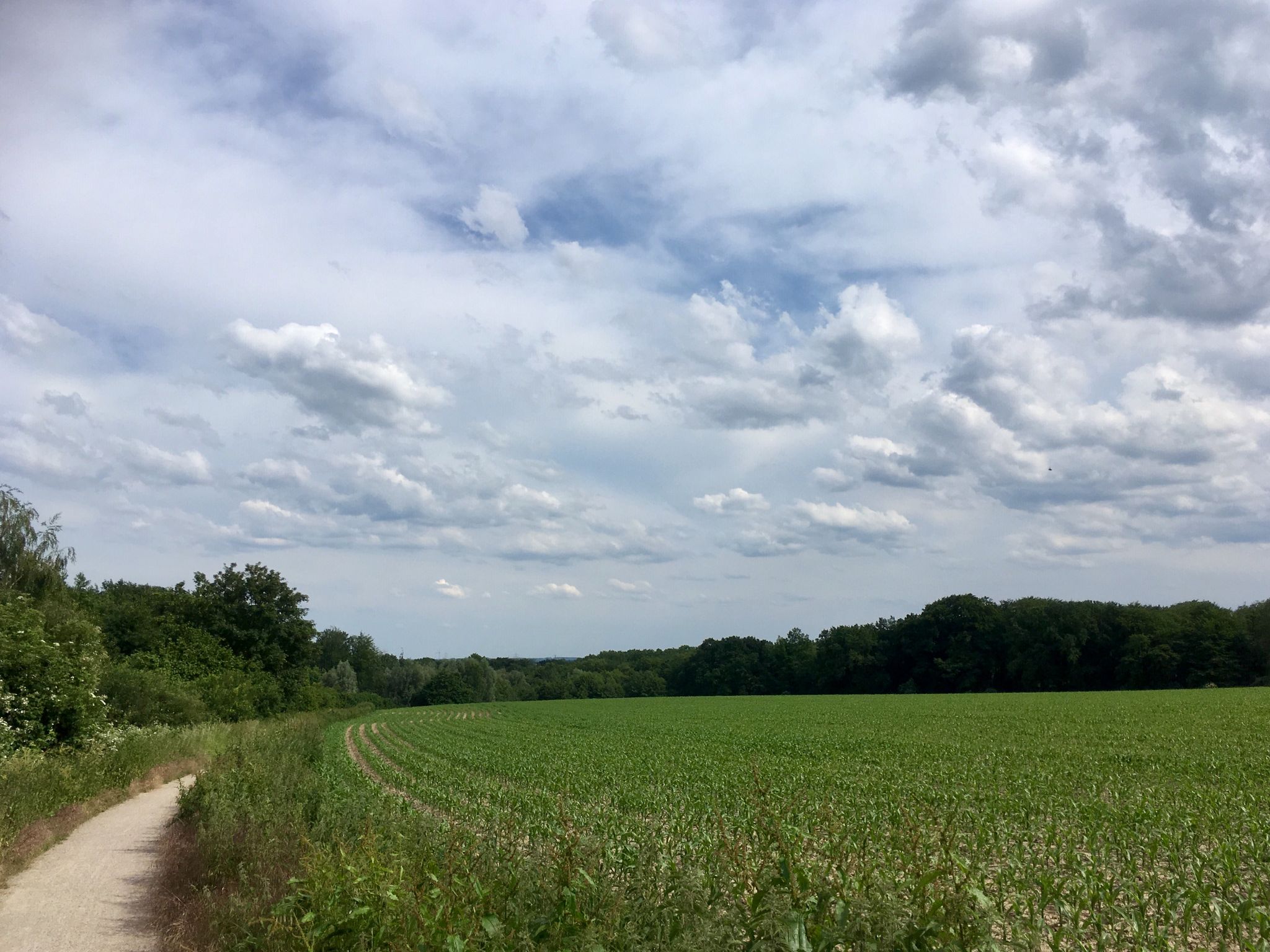 Radweg von Zeche Zollern Richtung Haus Dellwig
