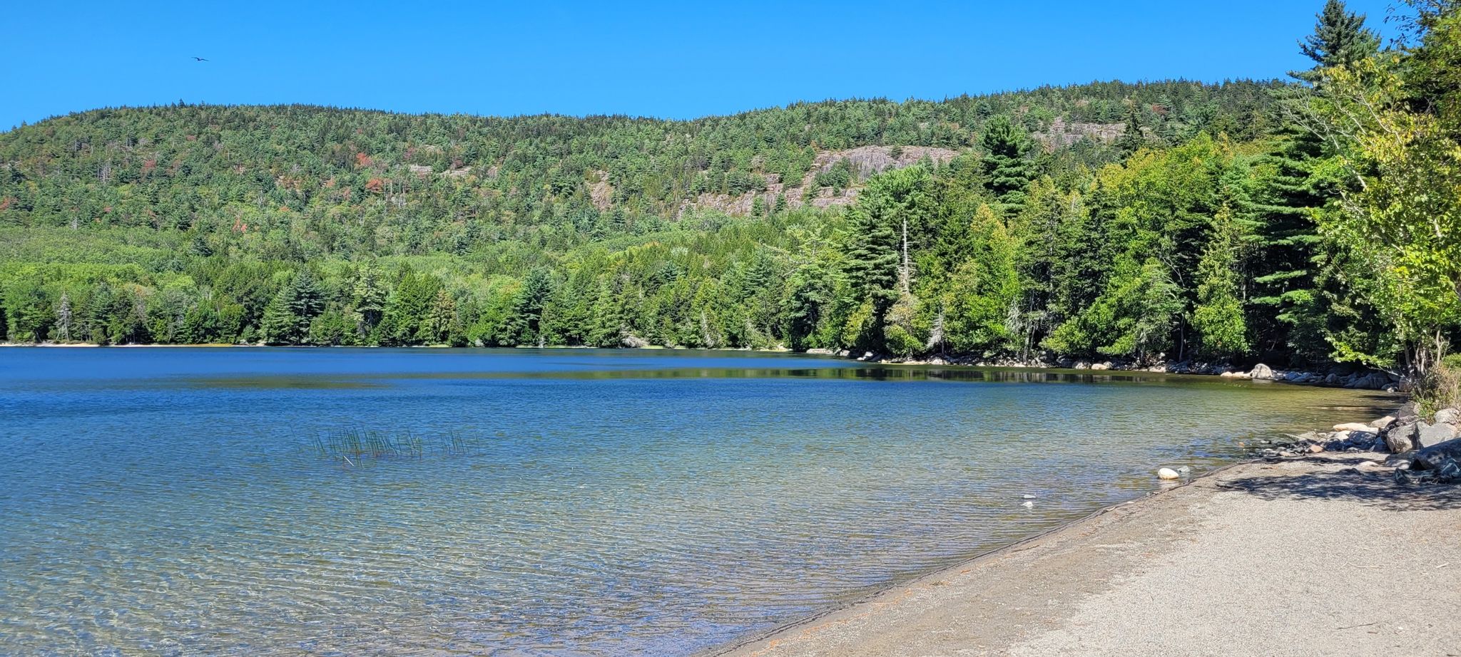 Clear lake with a sandy shore, backed by green forested mountains on a sunny day. - Perpendicular and Razorback Loop
