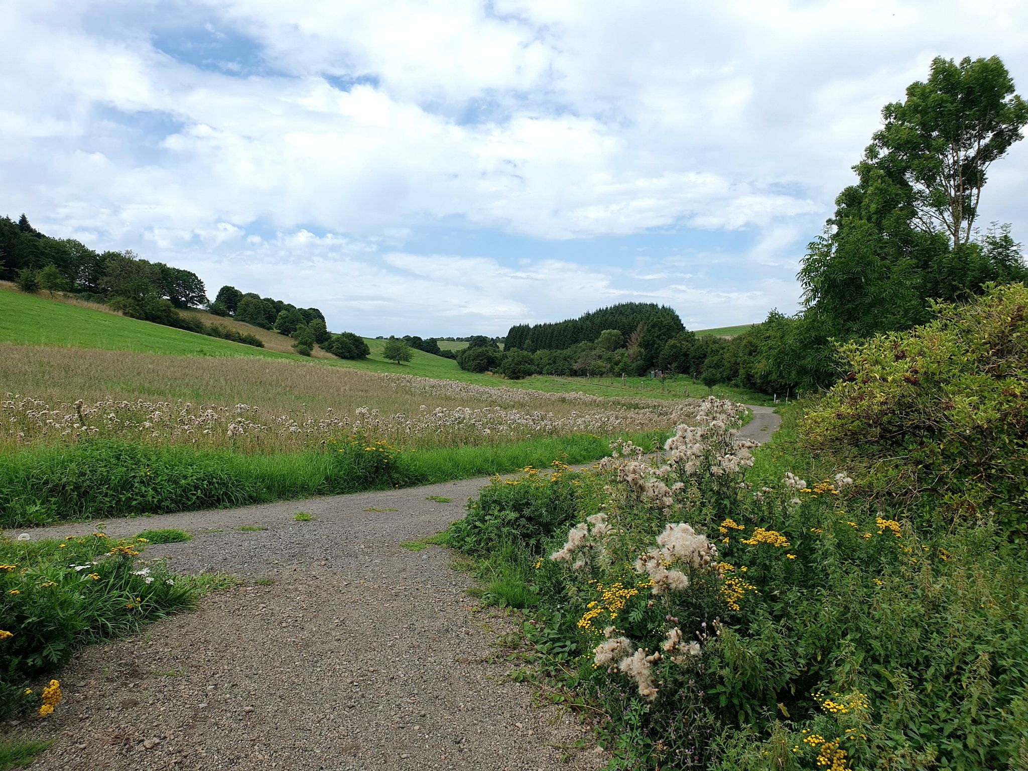 Selten war die Landschaft so ansprechend