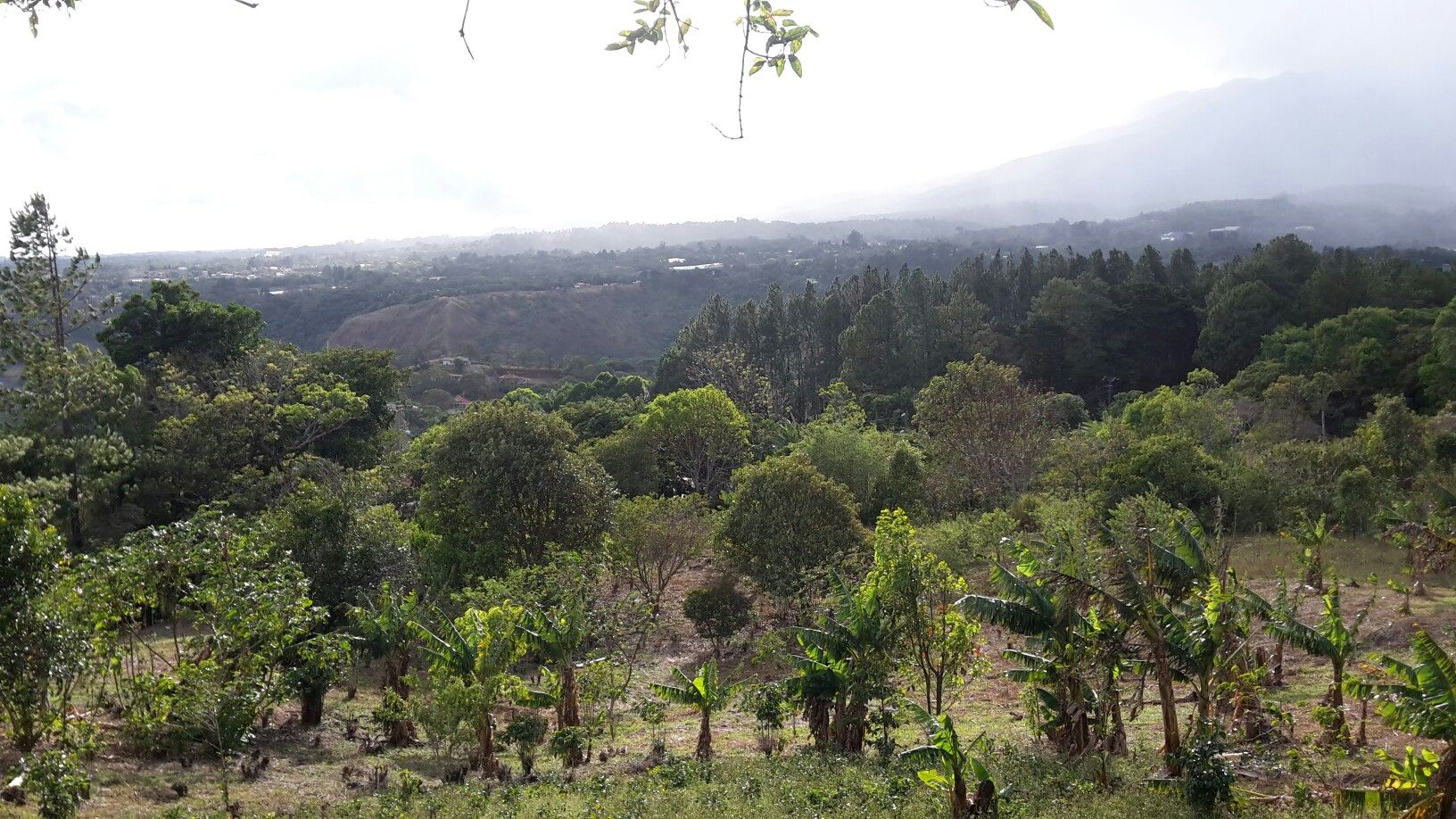 Volcan