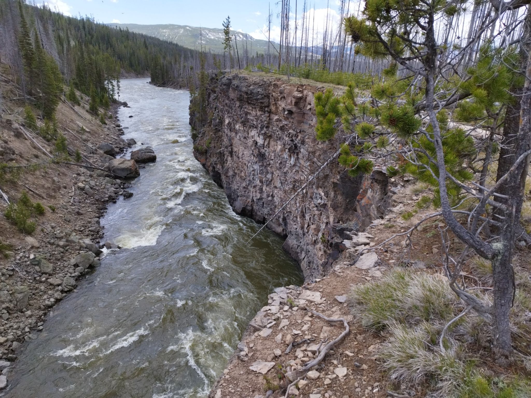 Rushing river flows beside a steep, rocky cliff with scattered trees. - Flagg Canyon Trail