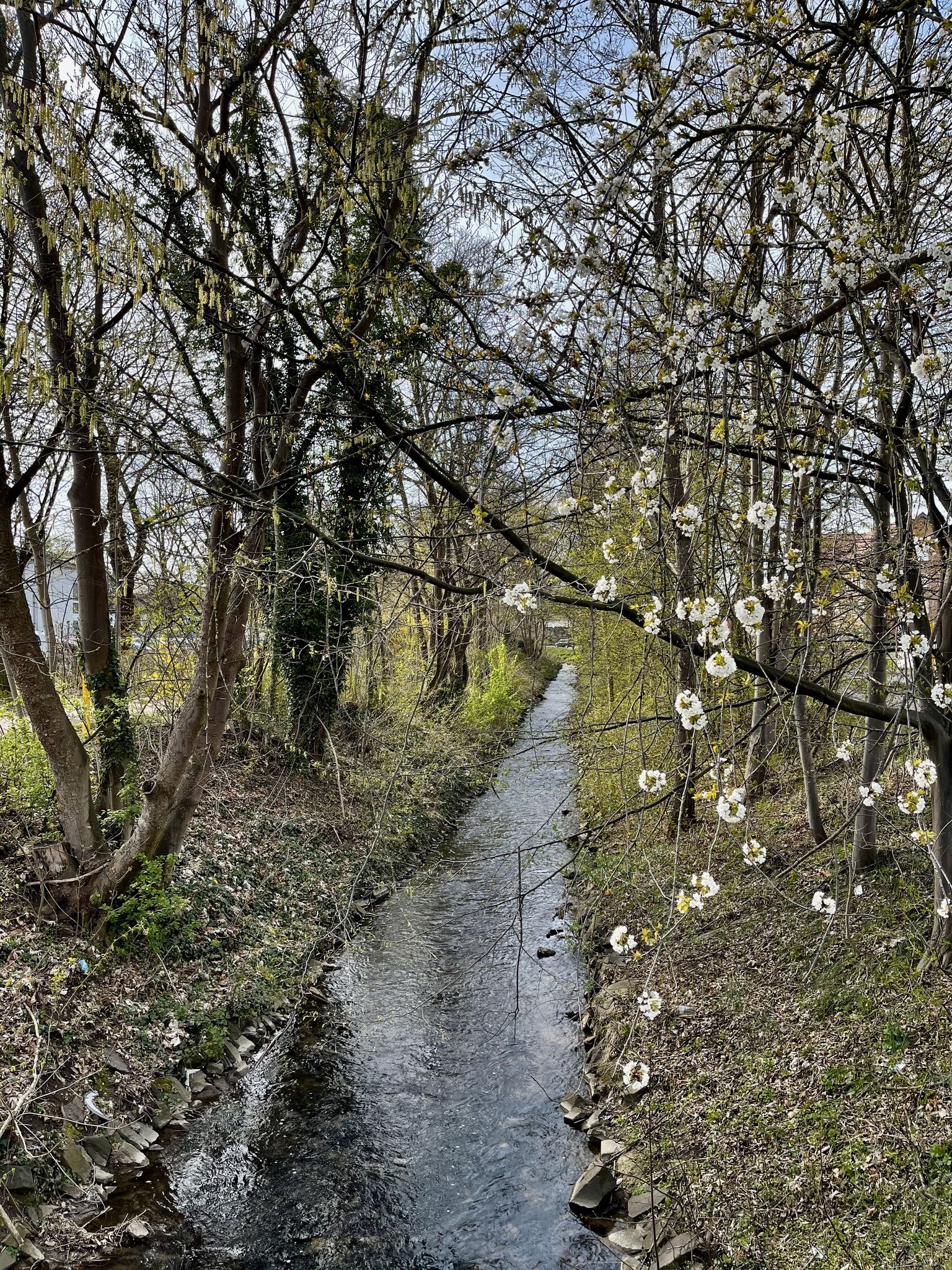 am Neffelbach entlang