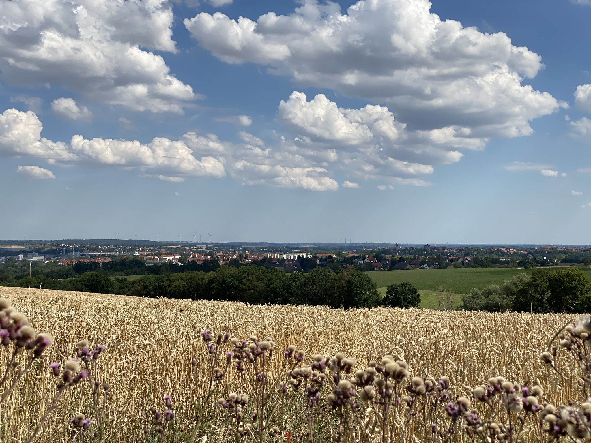 Blick von Golben nach Zeitz