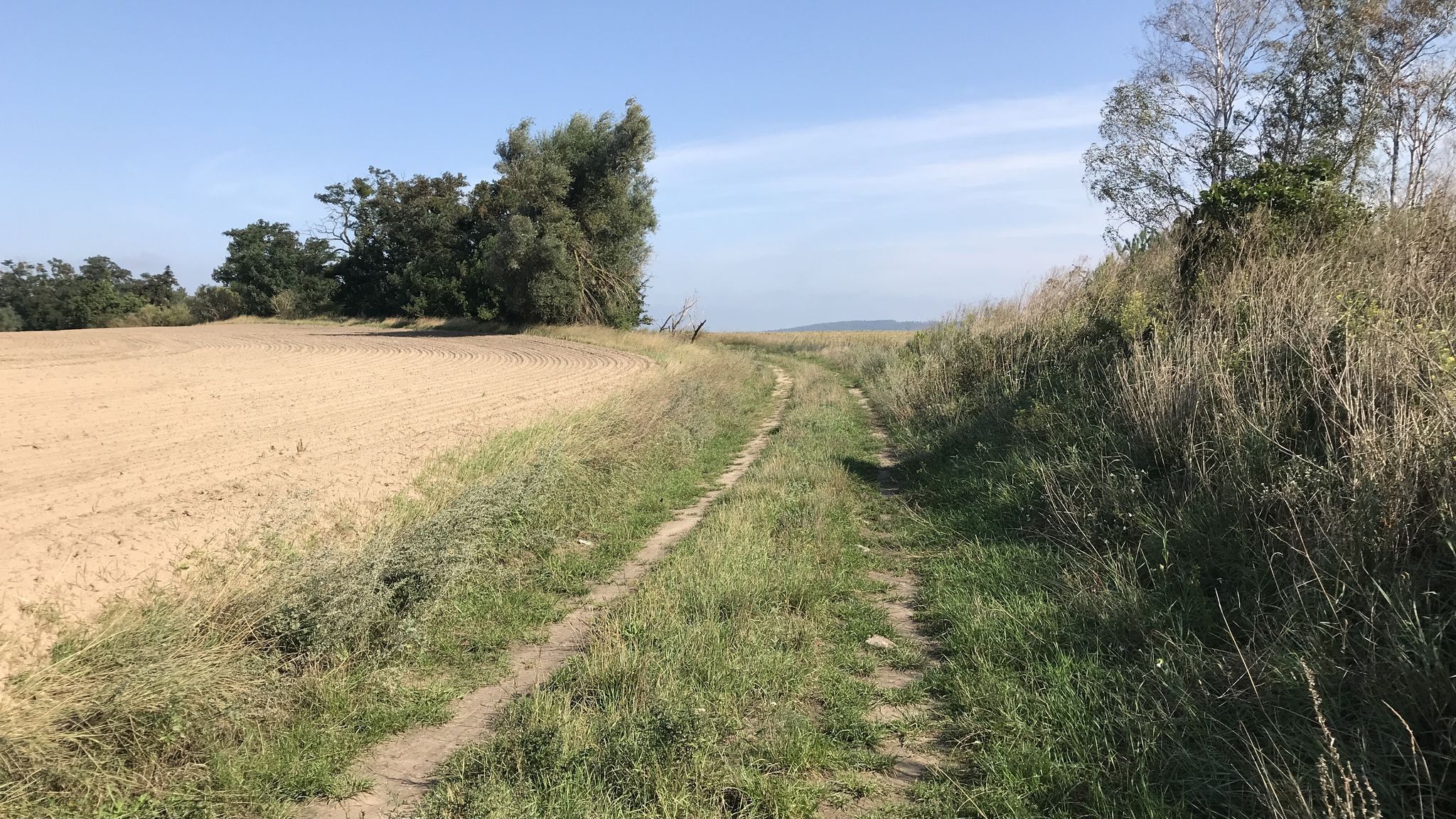 Zwischen Stendell und Passow