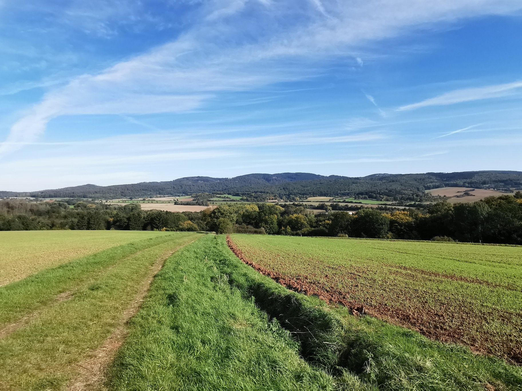 Herrliche Weitsicht.