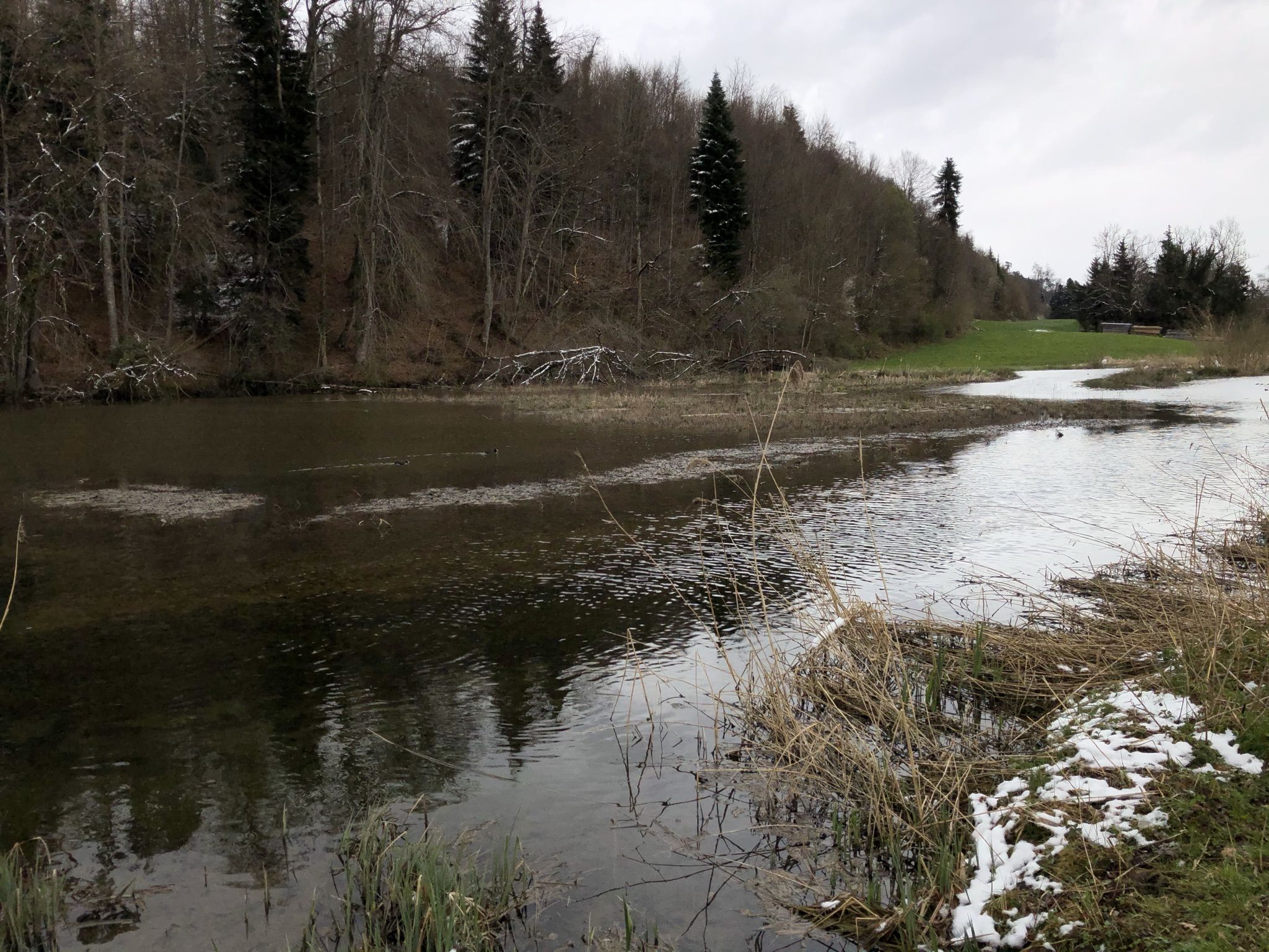 Tägernauweiher