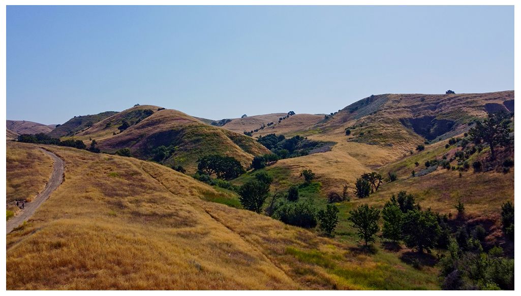 Expansive view of golden rolling hills and green valleys under blue sky. - East Las Virgenes Canyon and Laskey Mesa Loop