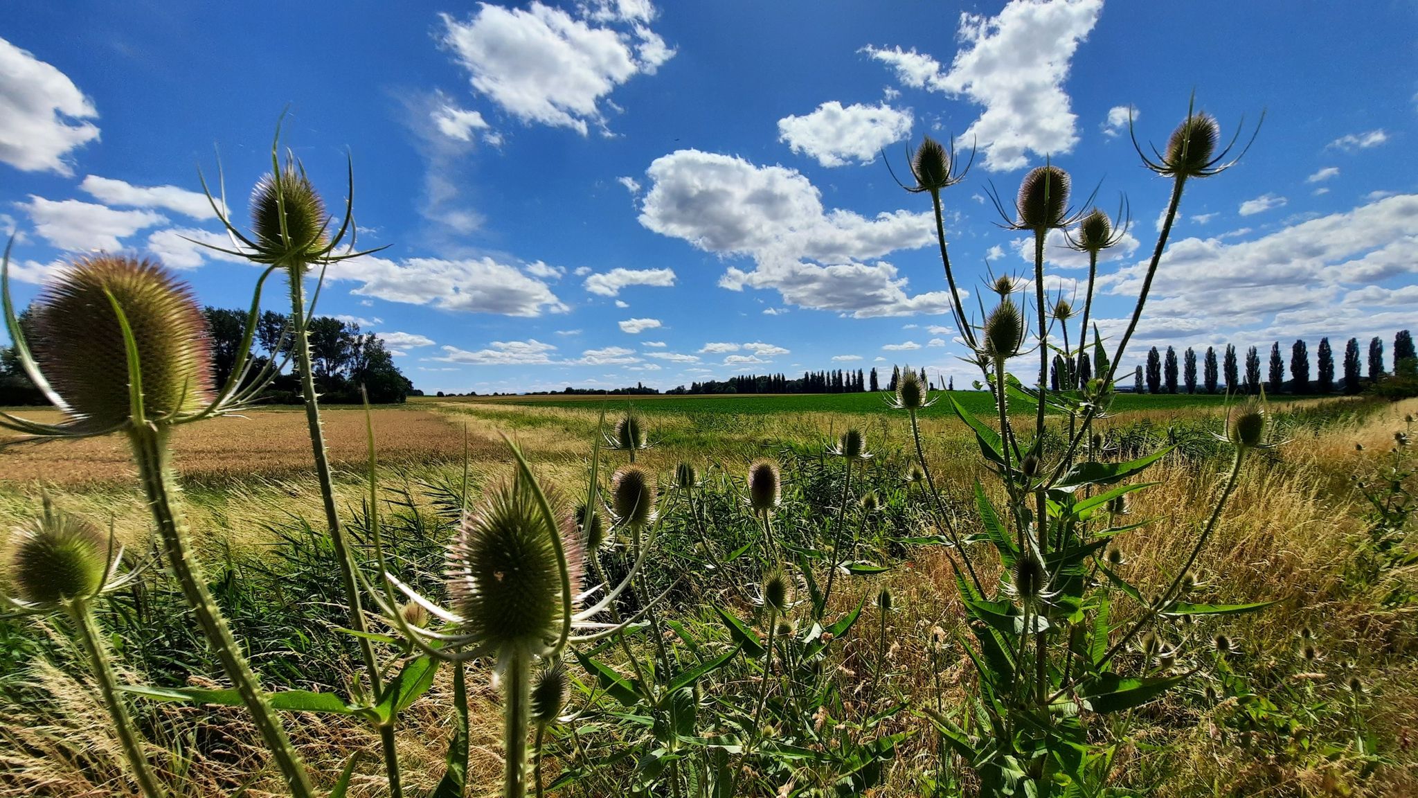 Toscana des Norden