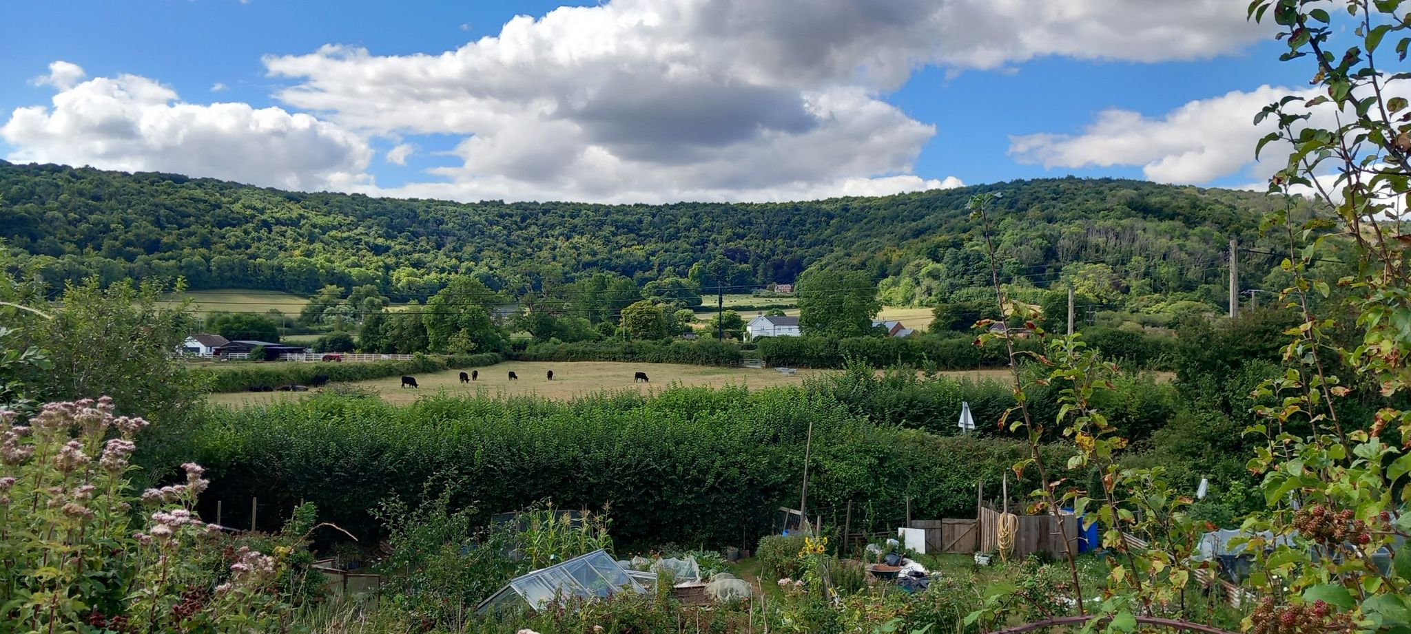 Shillingstone Hill