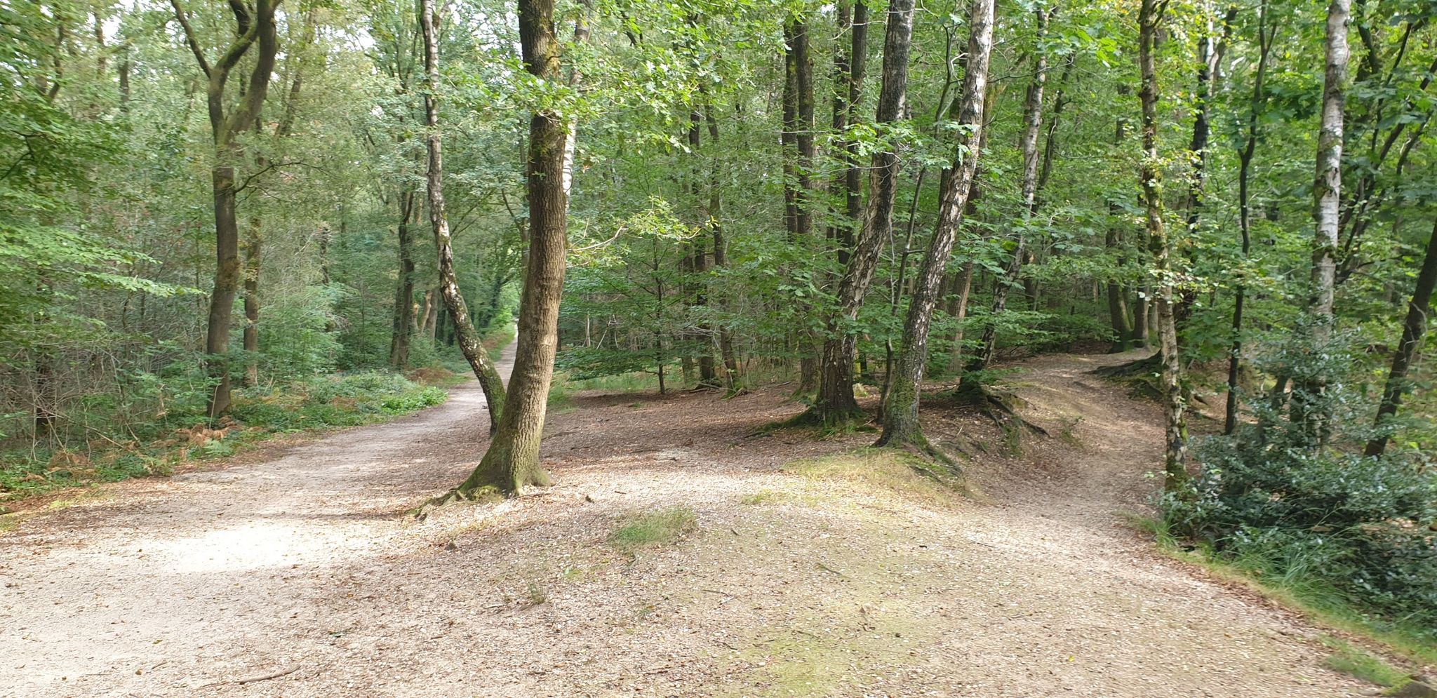 unendliche Möglichkeiten an Wegen