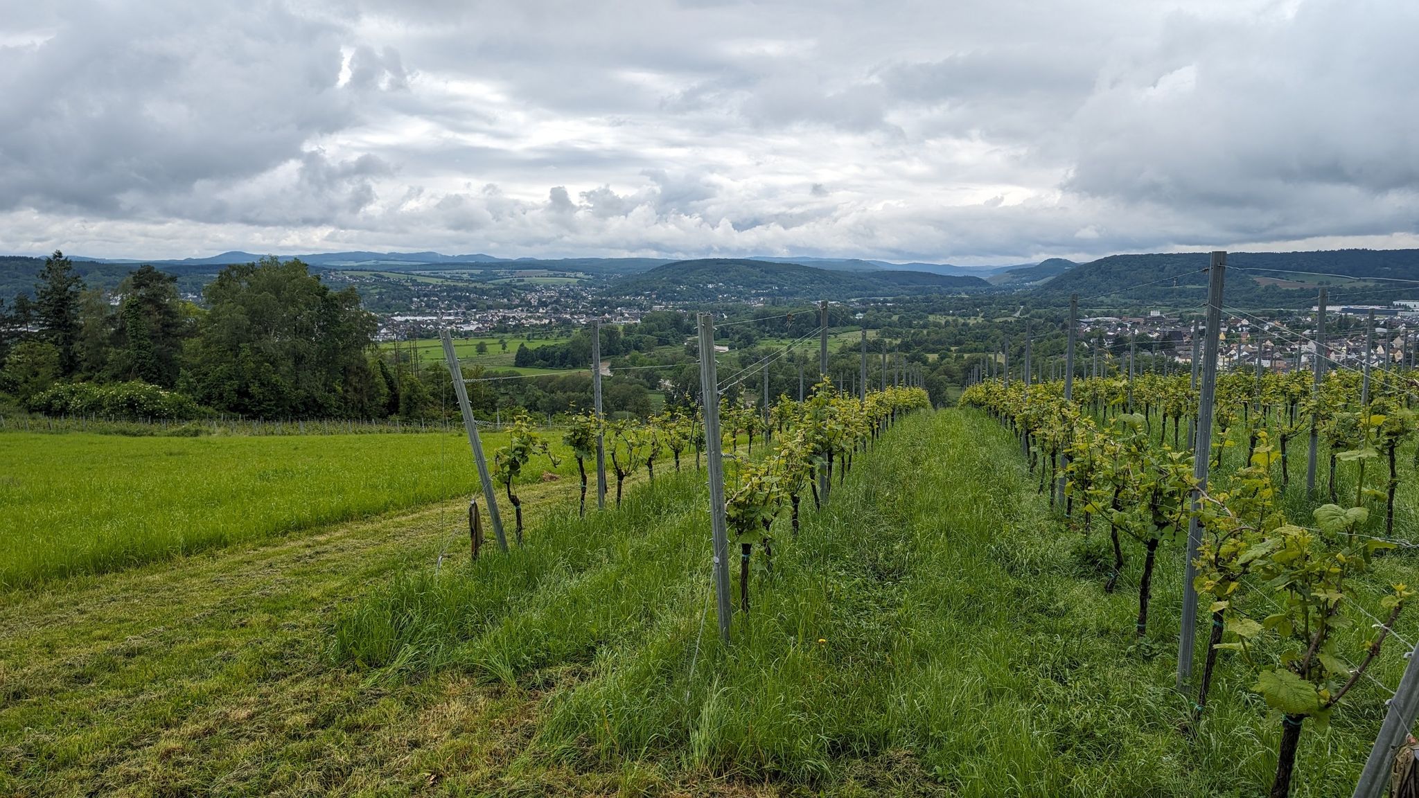 Blick ins Ahrtal und die Eifel