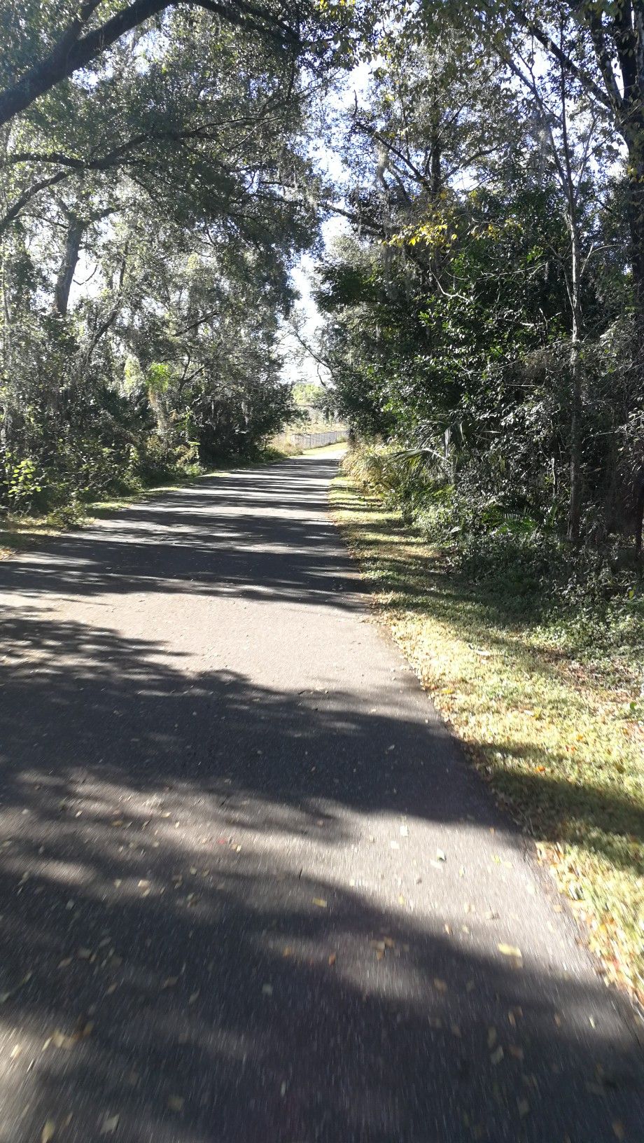 A paved path winds through a sunny, tree-lined landscape with dappled light. - Seminole Bridge – Paint the Trail Artwork [Just past mile marker 7.25 EB] loop from Heathrow