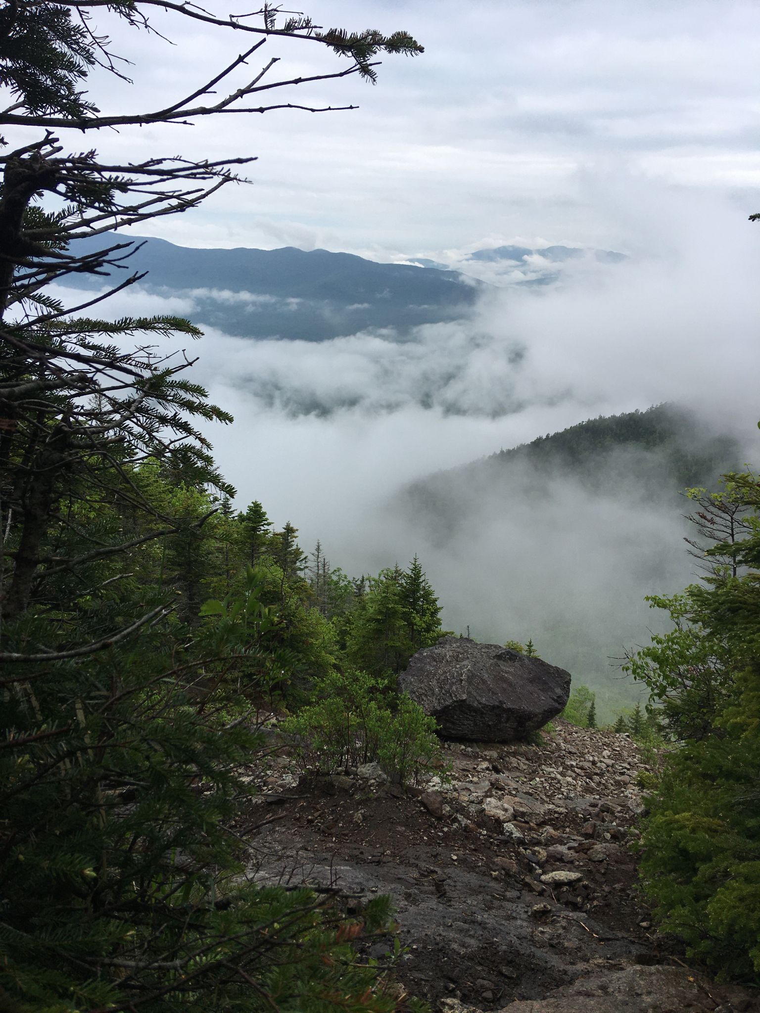Misty mountain view with a large boulder and dense green trees. - Dix Range Traverse