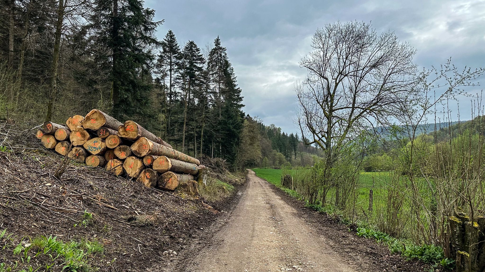 ...wieder mal durch's schöne Oristal😊...