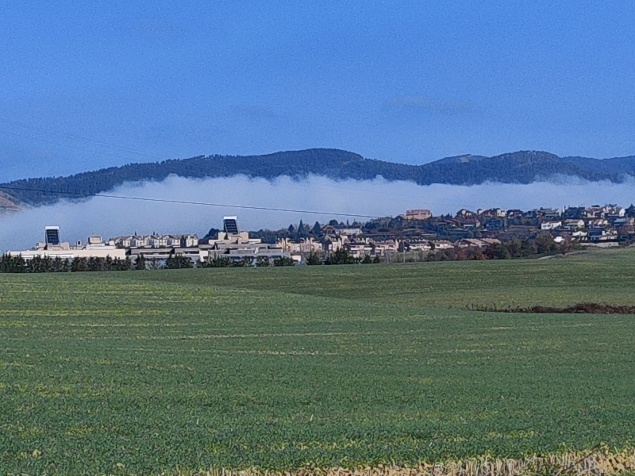 Niebla sobre el Arga, detrás de Sarriguren