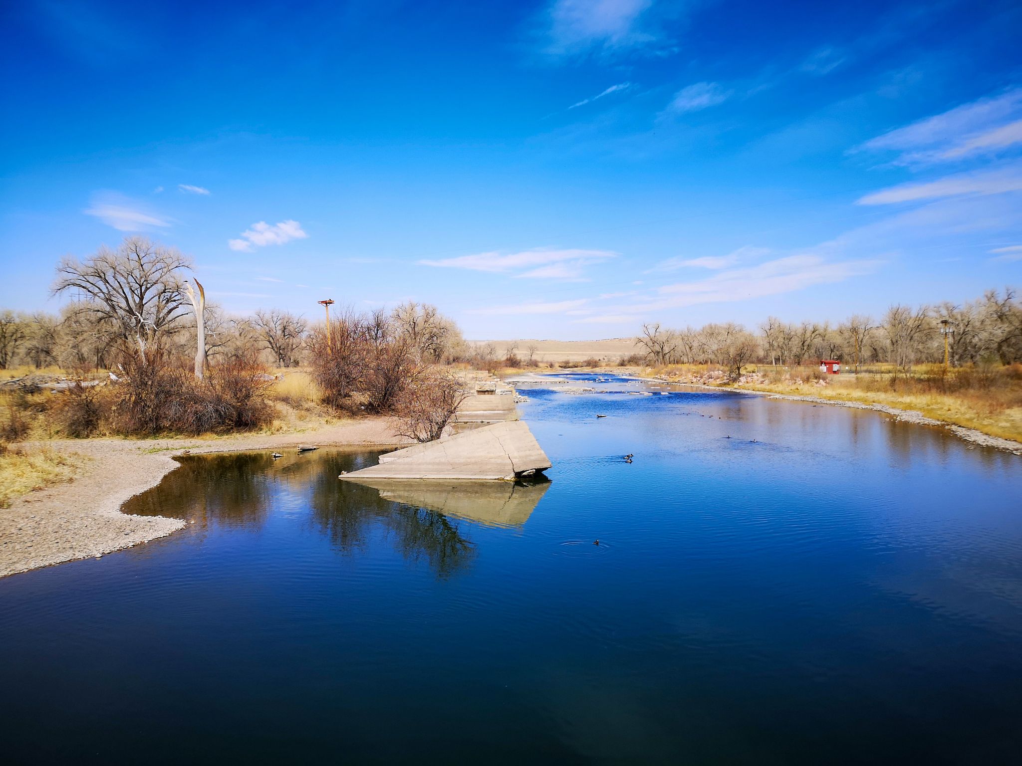A wide river flows under a bright blue sky, surrounded by bare trees. - Colorado Front Range Trail – View of the Arkansas River loop from Pueblo Zoo