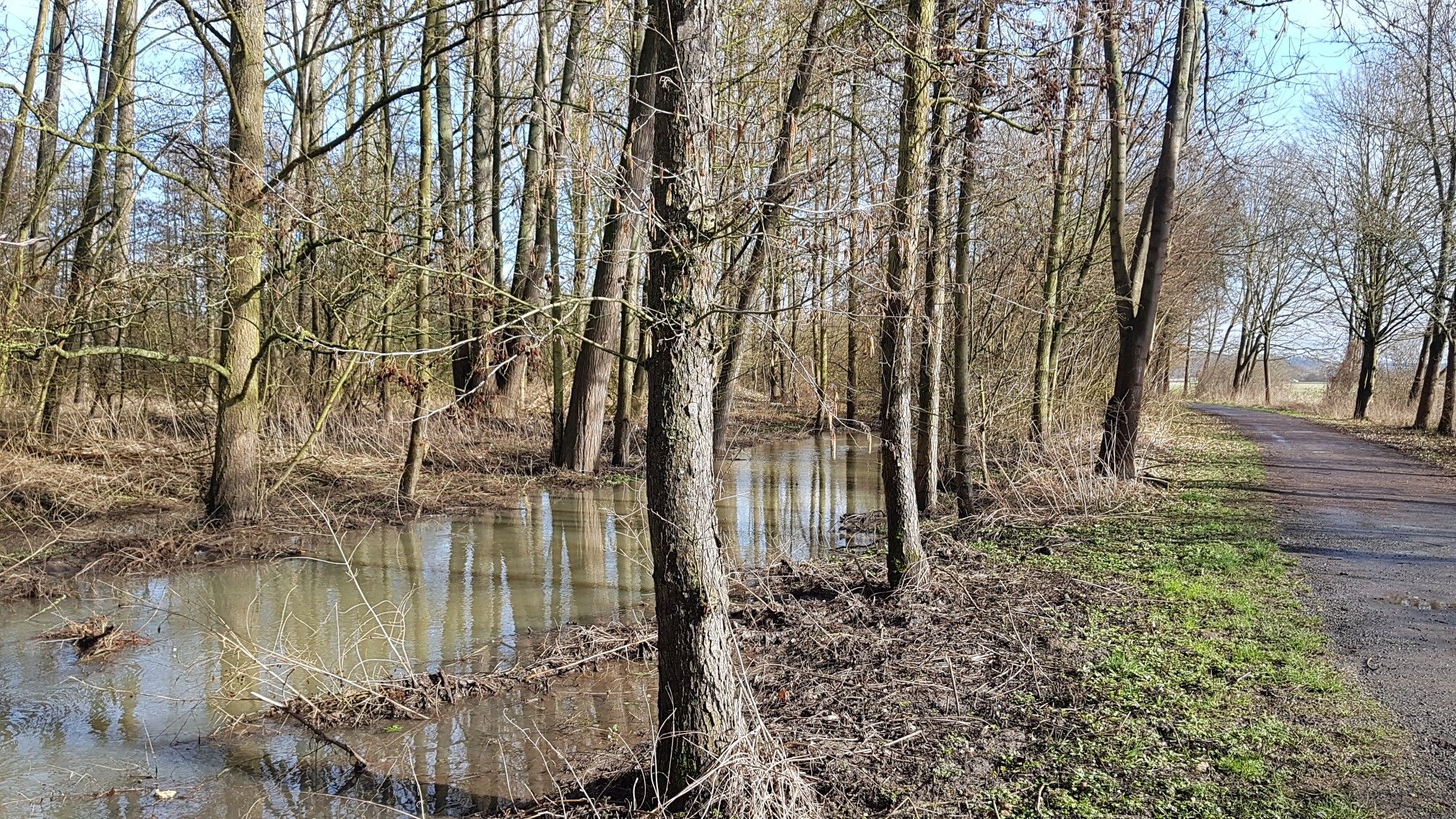 Hochwasser in der Wiesseck