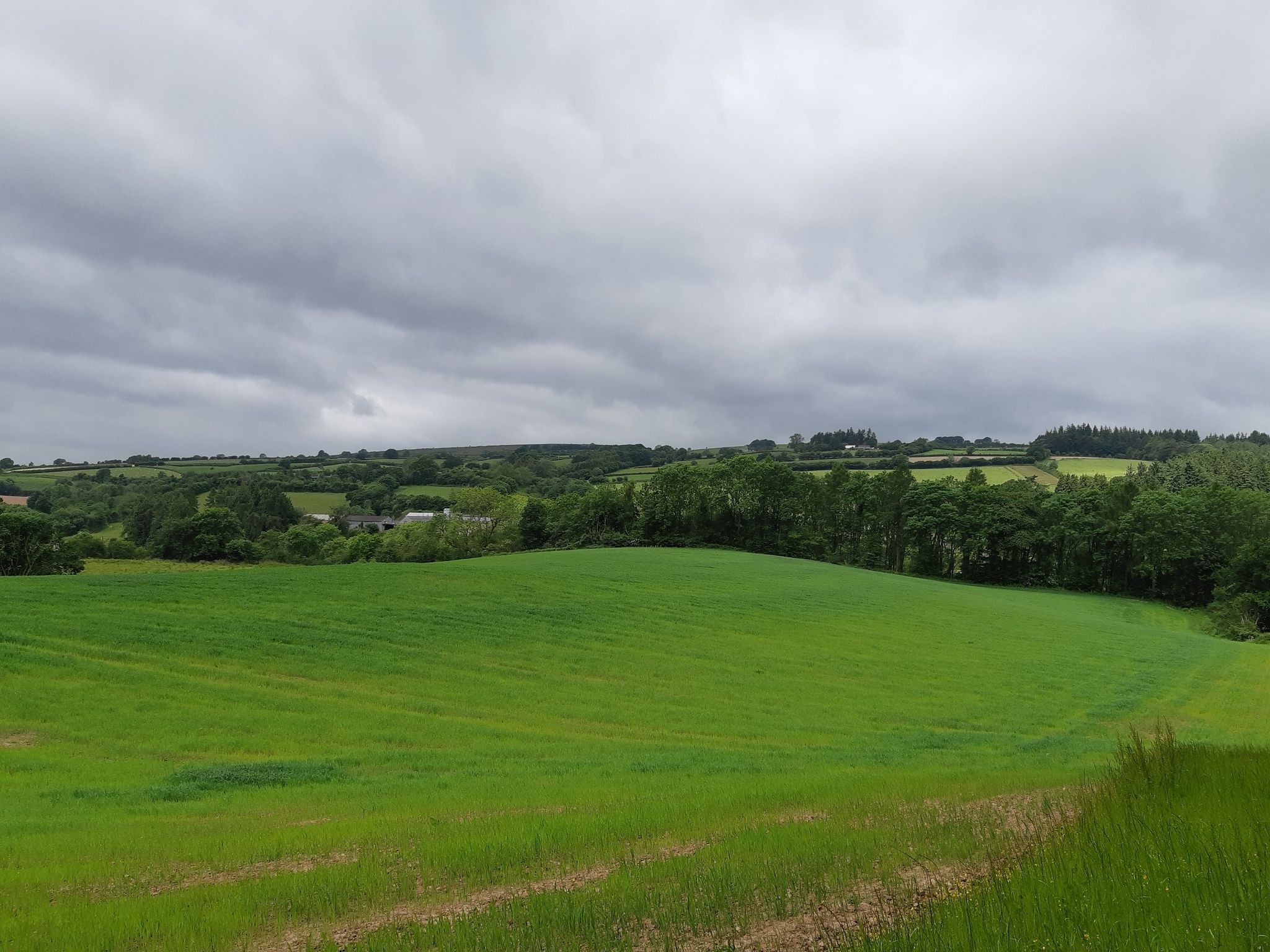 First view towards Hergest Ridge