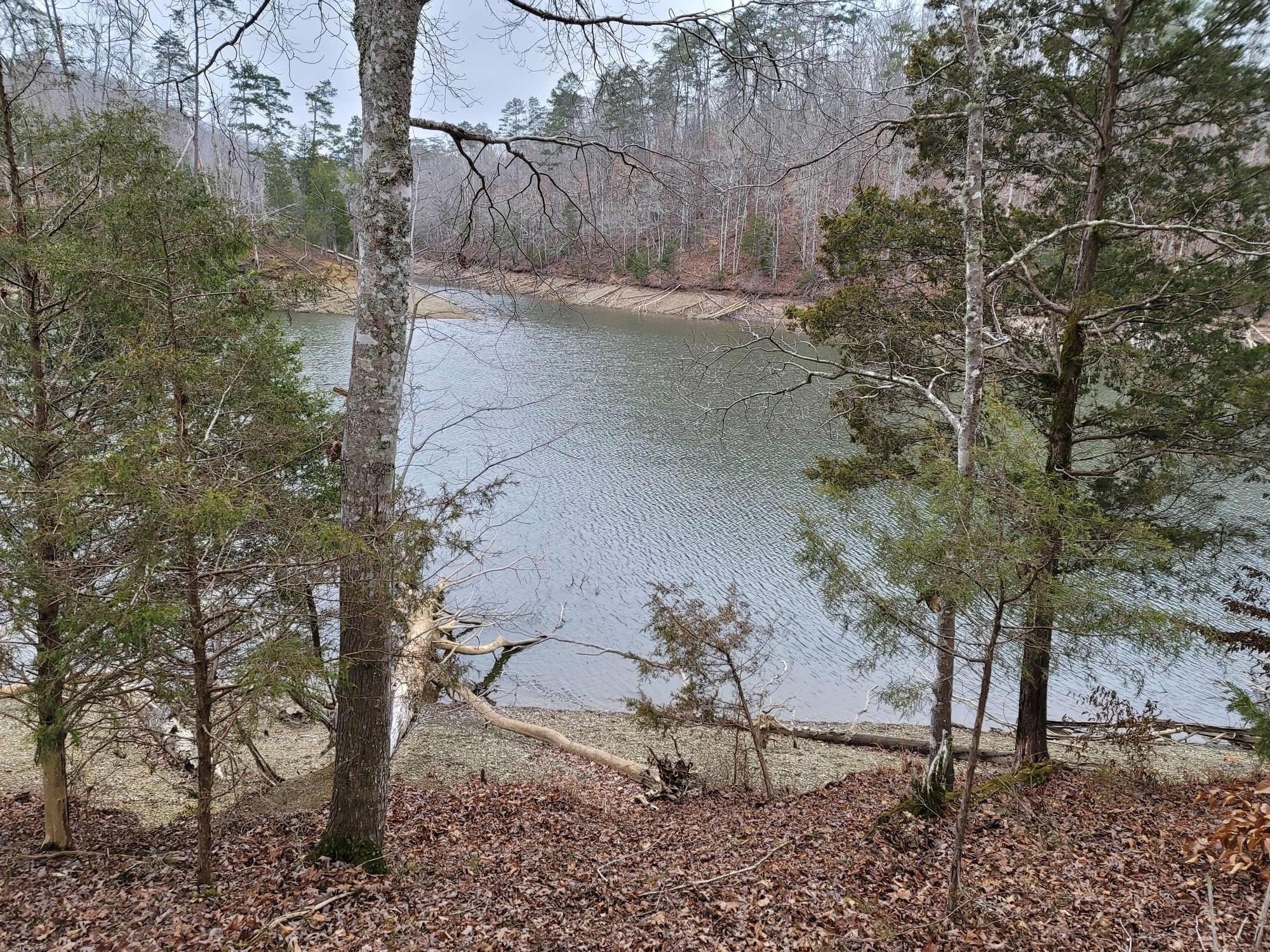 Lake view through bare and evergreen trees, exposed shoreline, cloudy sky. - Big Ridge State Park loop from Big Ridge State Park