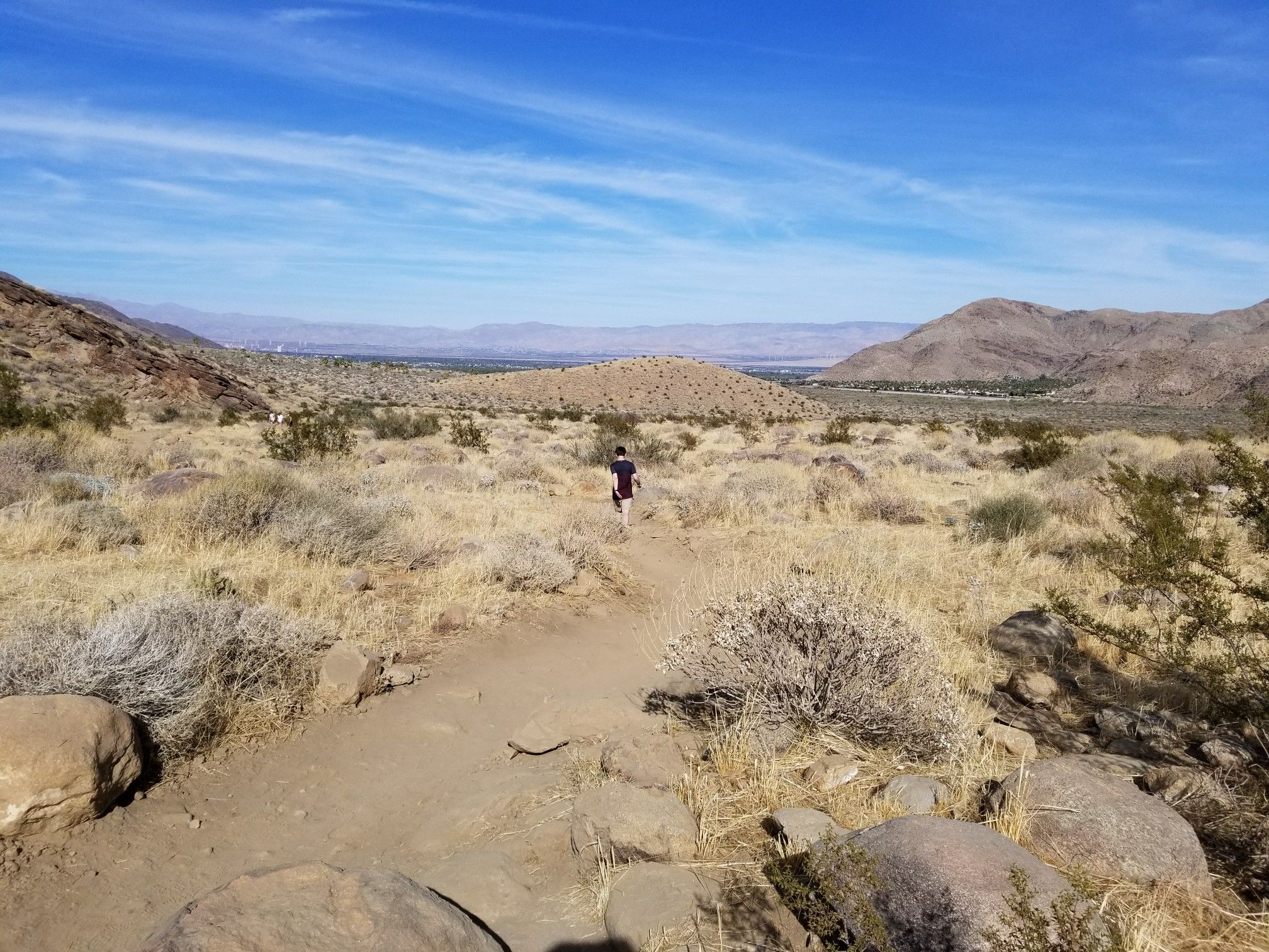 A person hikes a desert trail under a bright blue sky. - Murray Canyon Trail