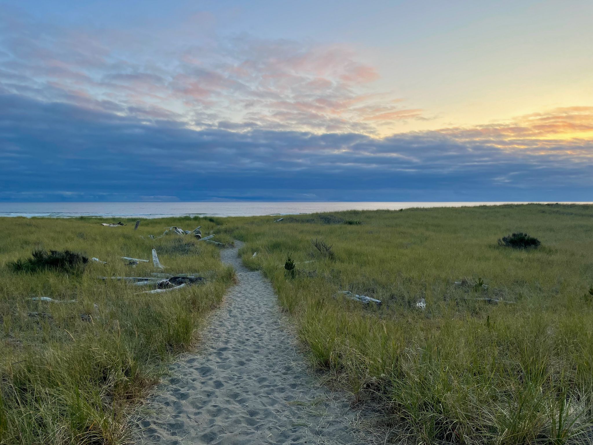 Sandy path through grassy dunes leads to ocean under a colorful sky. - Shifting Sands Natural Trail