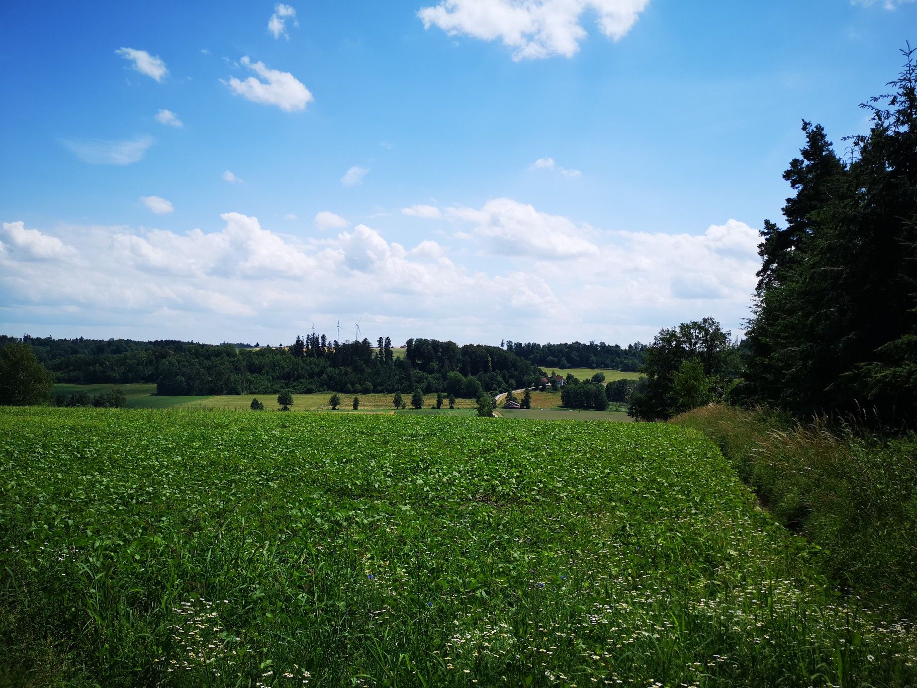 Neuhausweg