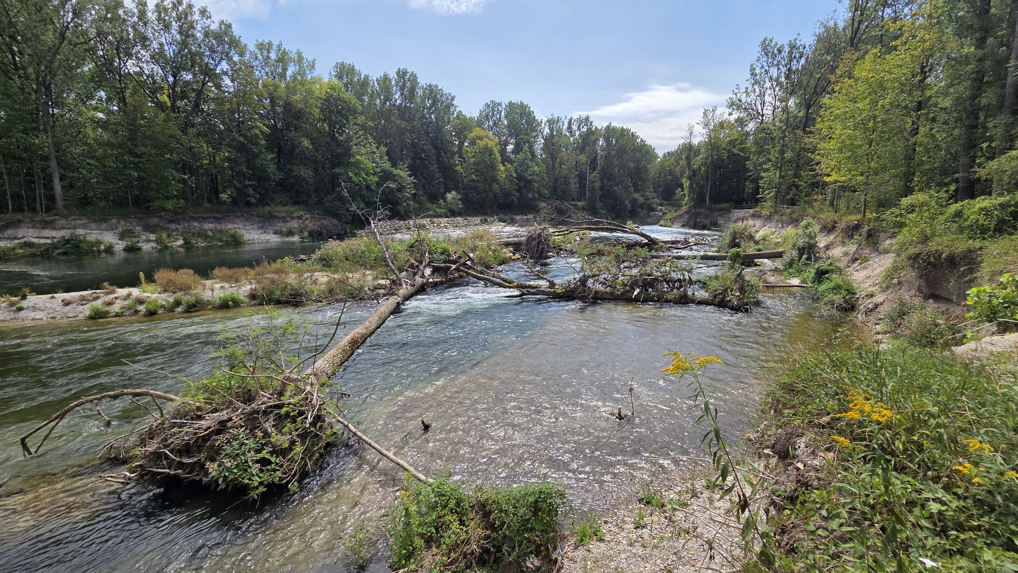 ... die "Macht des Wassers": die Isar holte sich das Land