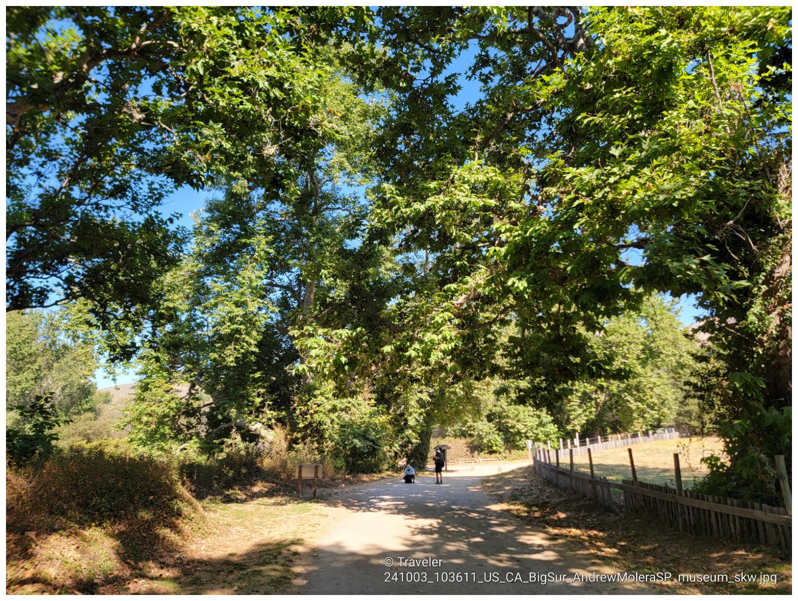 Two people walk on a sun-dappled dirt path under large green trees. - East Molera Trail