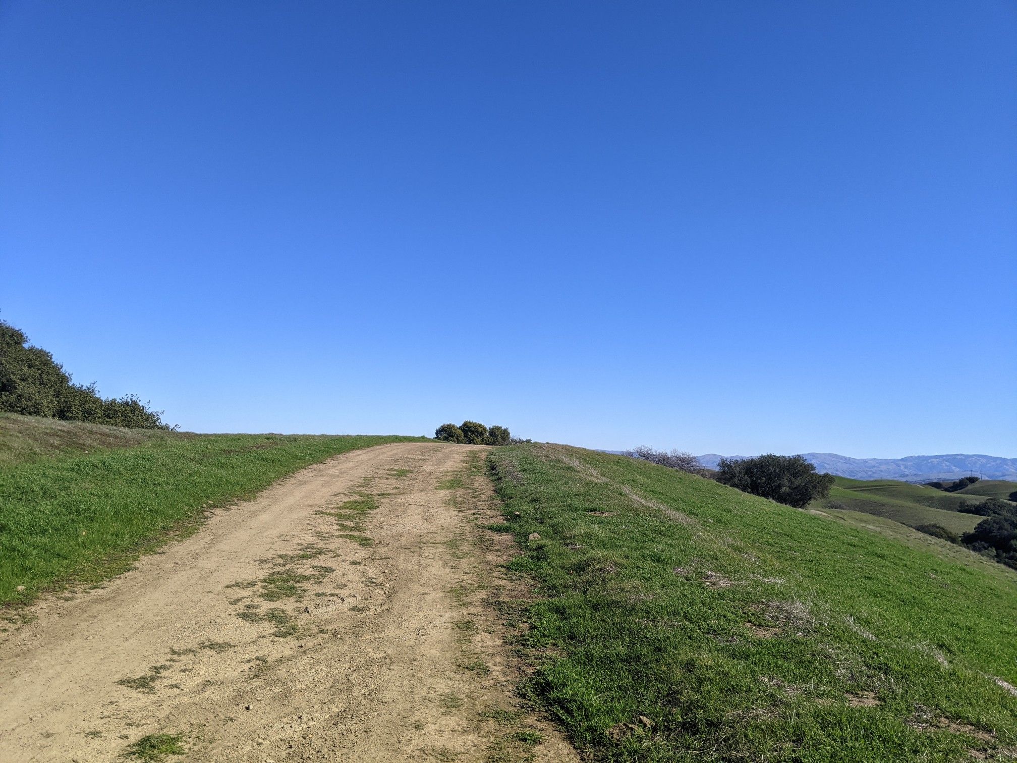 A dirt path ascends a grassy hill under a bright, clear blue sky. - Ridgeline and Sinbad Creek Trail Loop