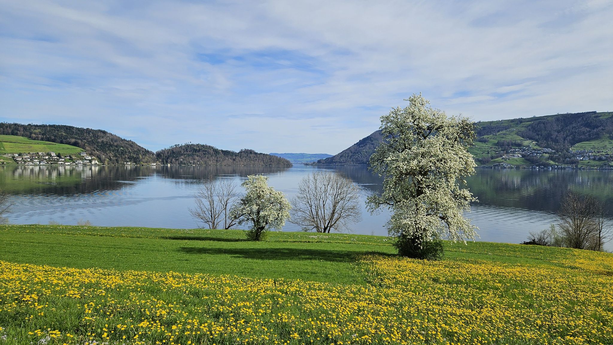 Immensee,...richtig Frühling am Zugersee.