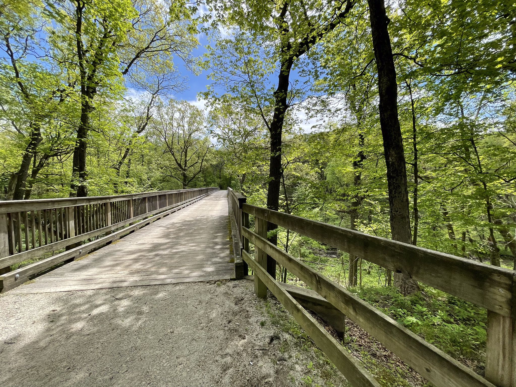 A long wooden bridge extends through a vibrant green forest under a bright sky. - Goodenow Groove Nature Preserve & Plum Valley loop